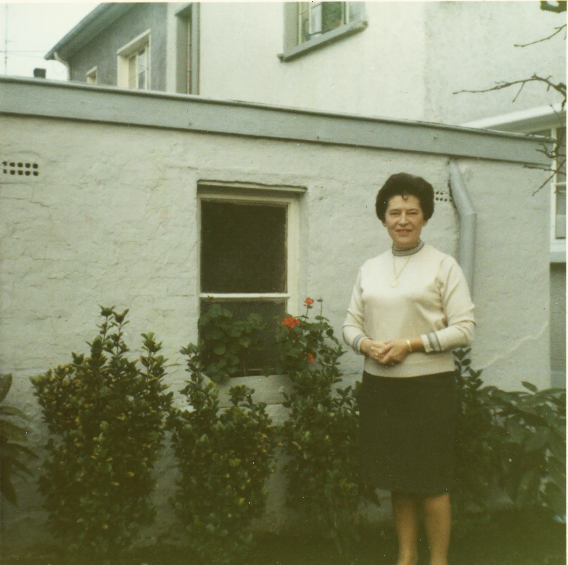 Gallery Image 7
