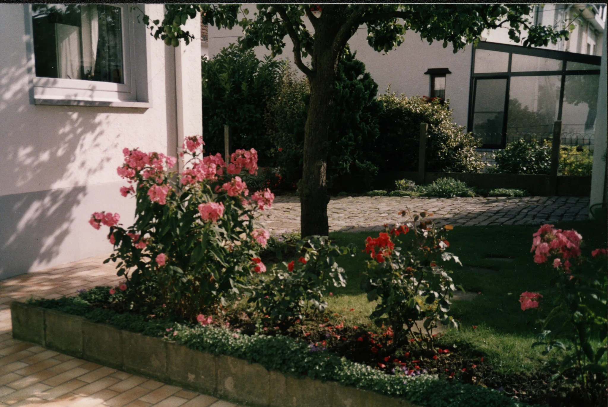 Gallery Image 20