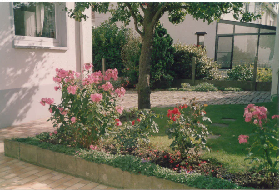 Gallery Image 21
