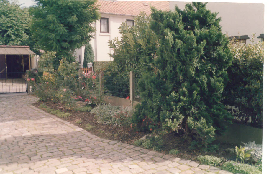 Gallery Image 23