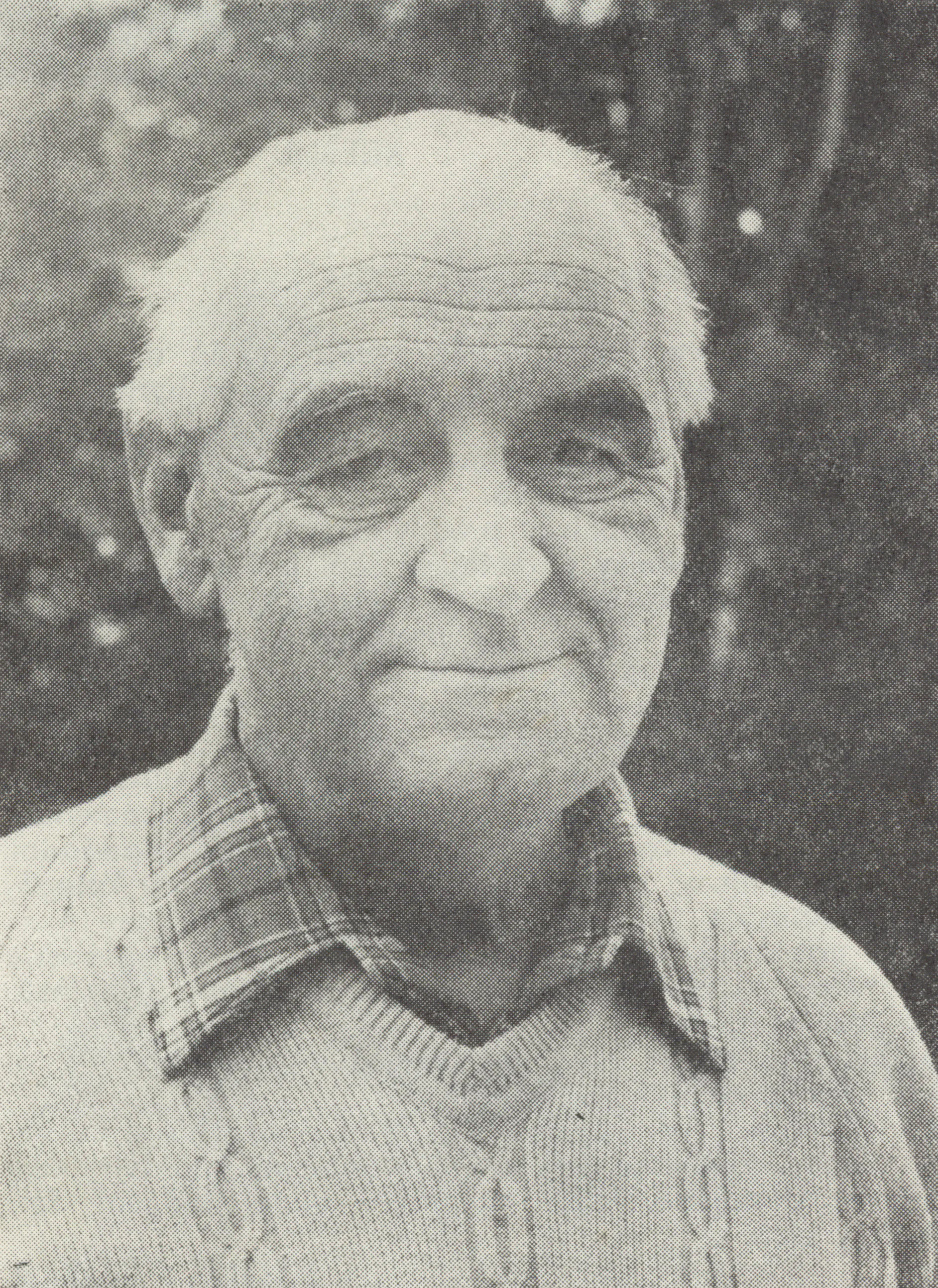 Alojz Krupitzer