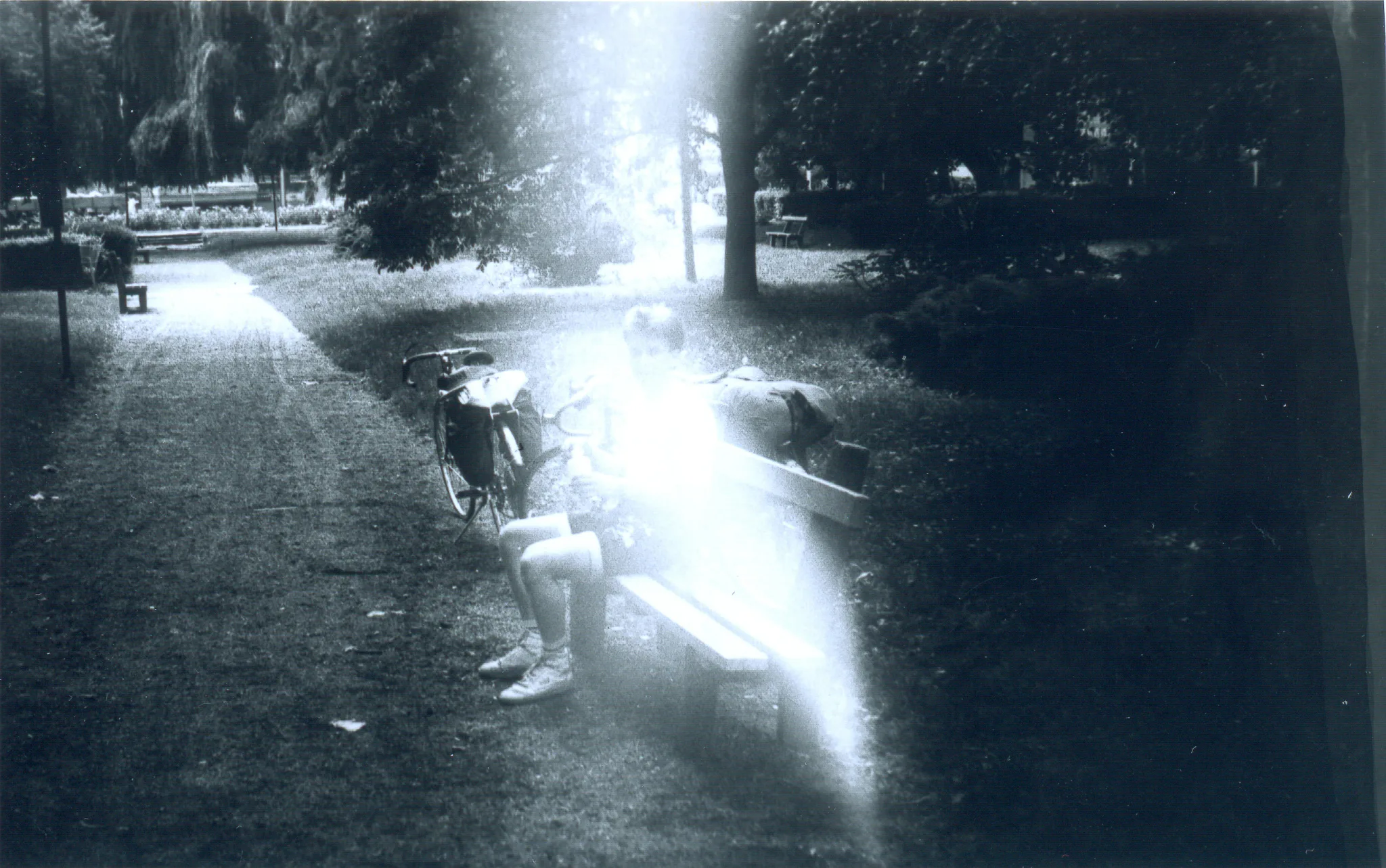 Gallery Image 14