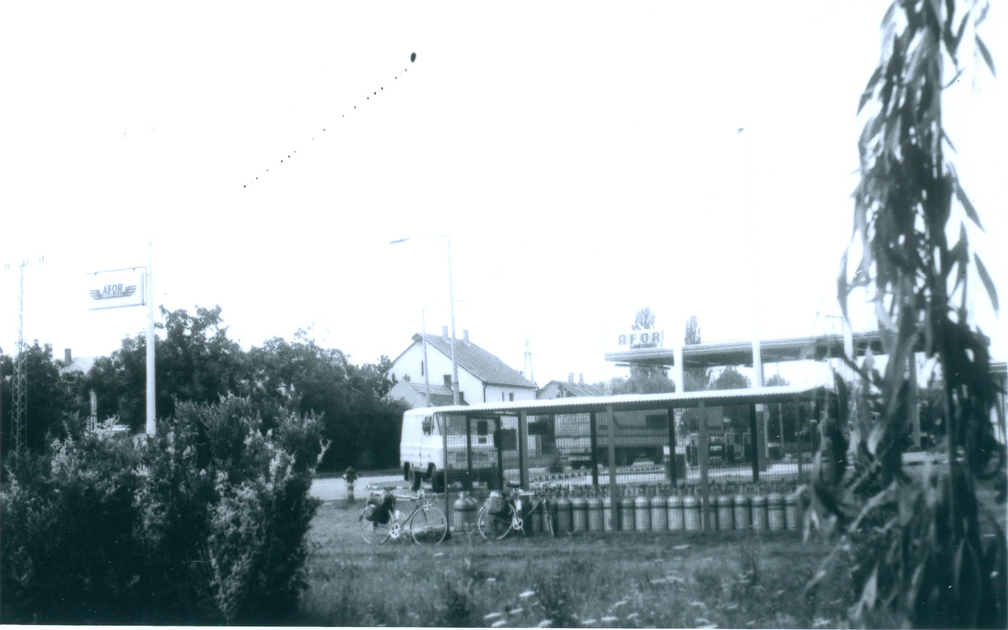 Gallery Image 15