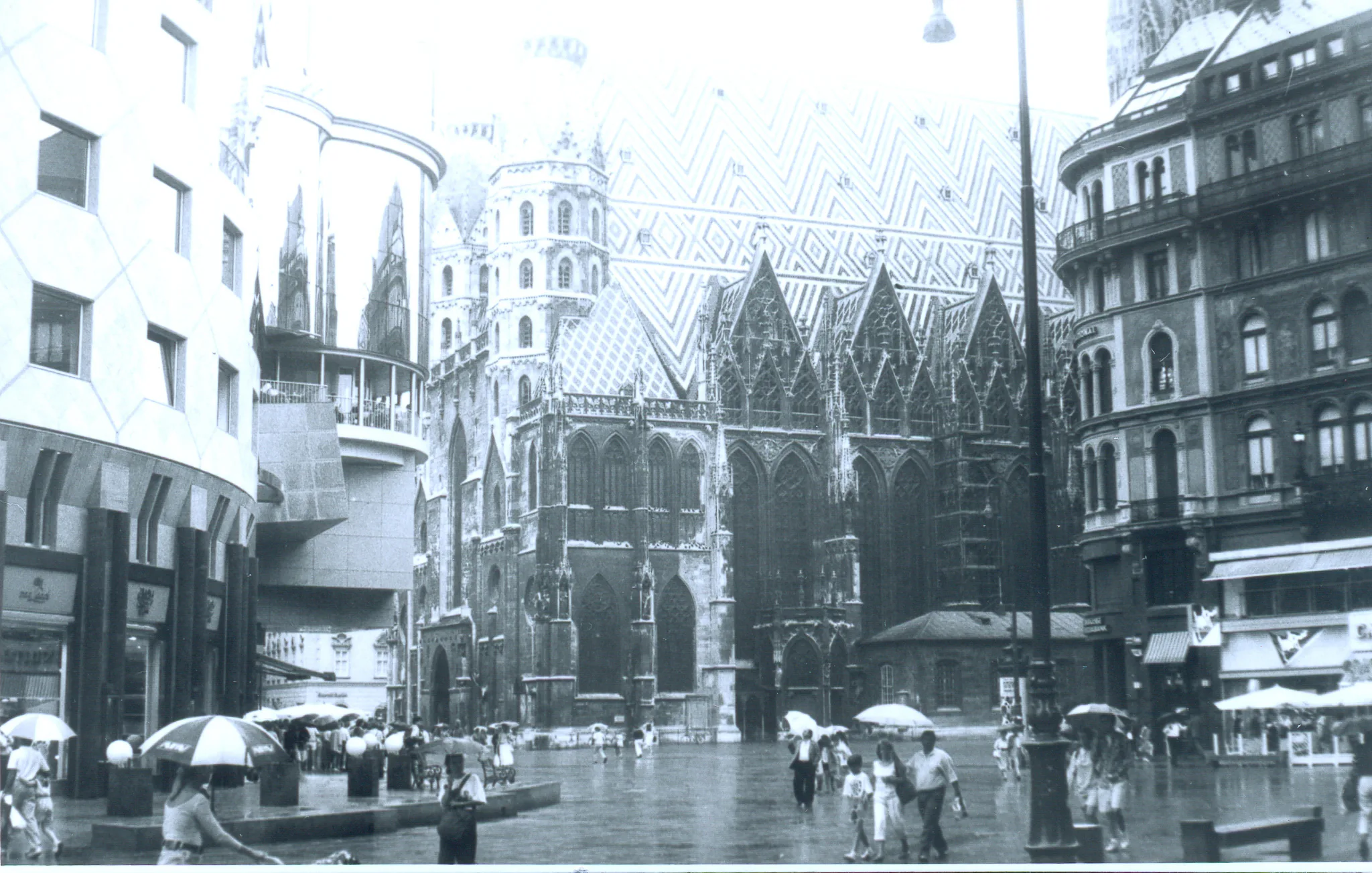 Gallery Image 17
