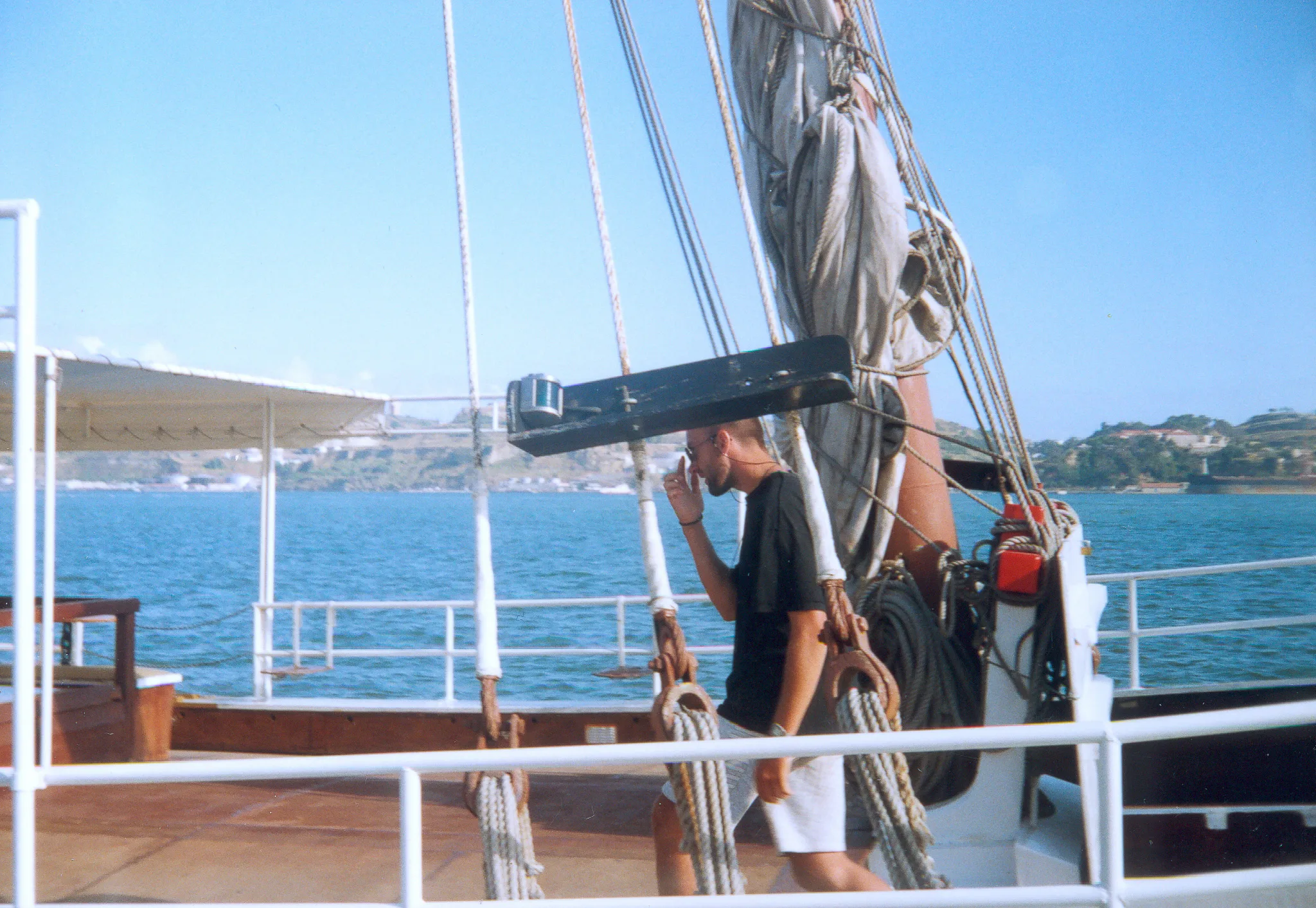 Gallery Image 7