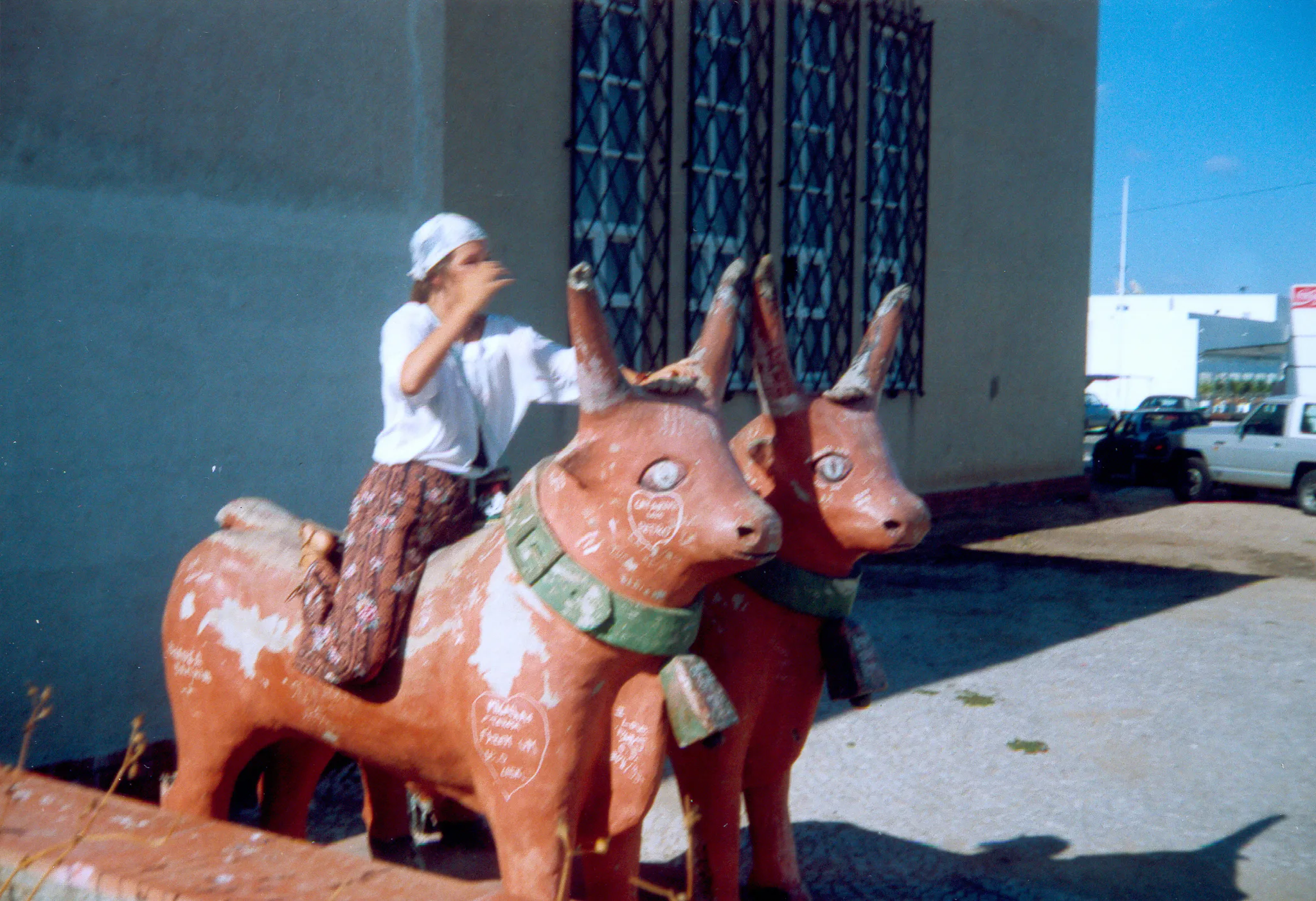 Gallery Image 26