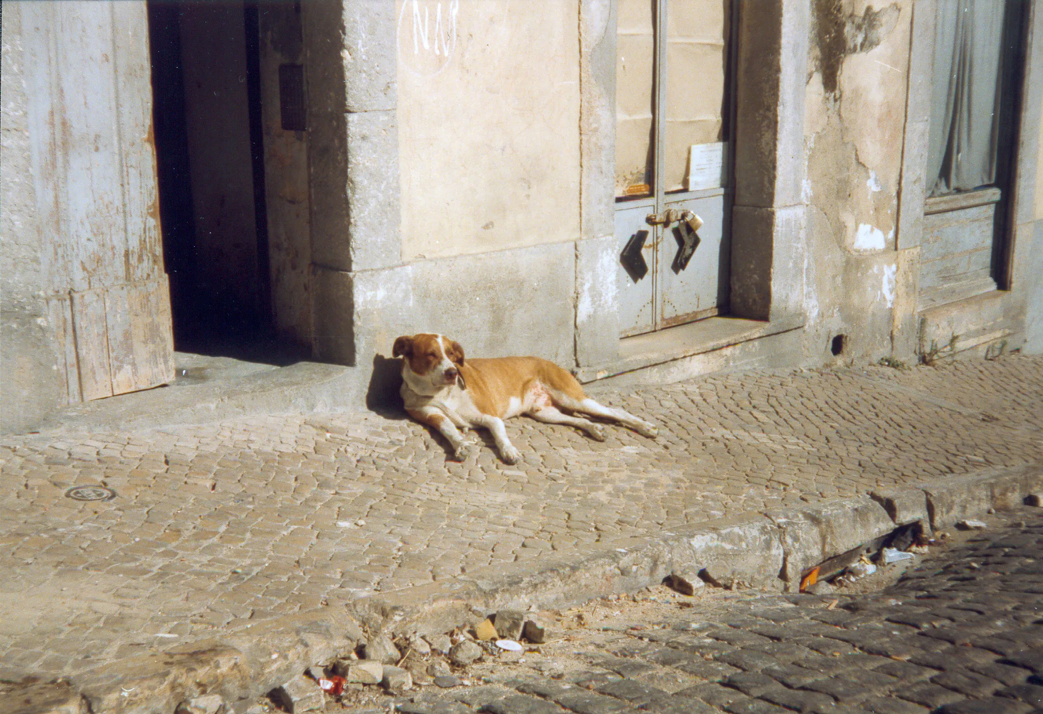Gallery Image 35