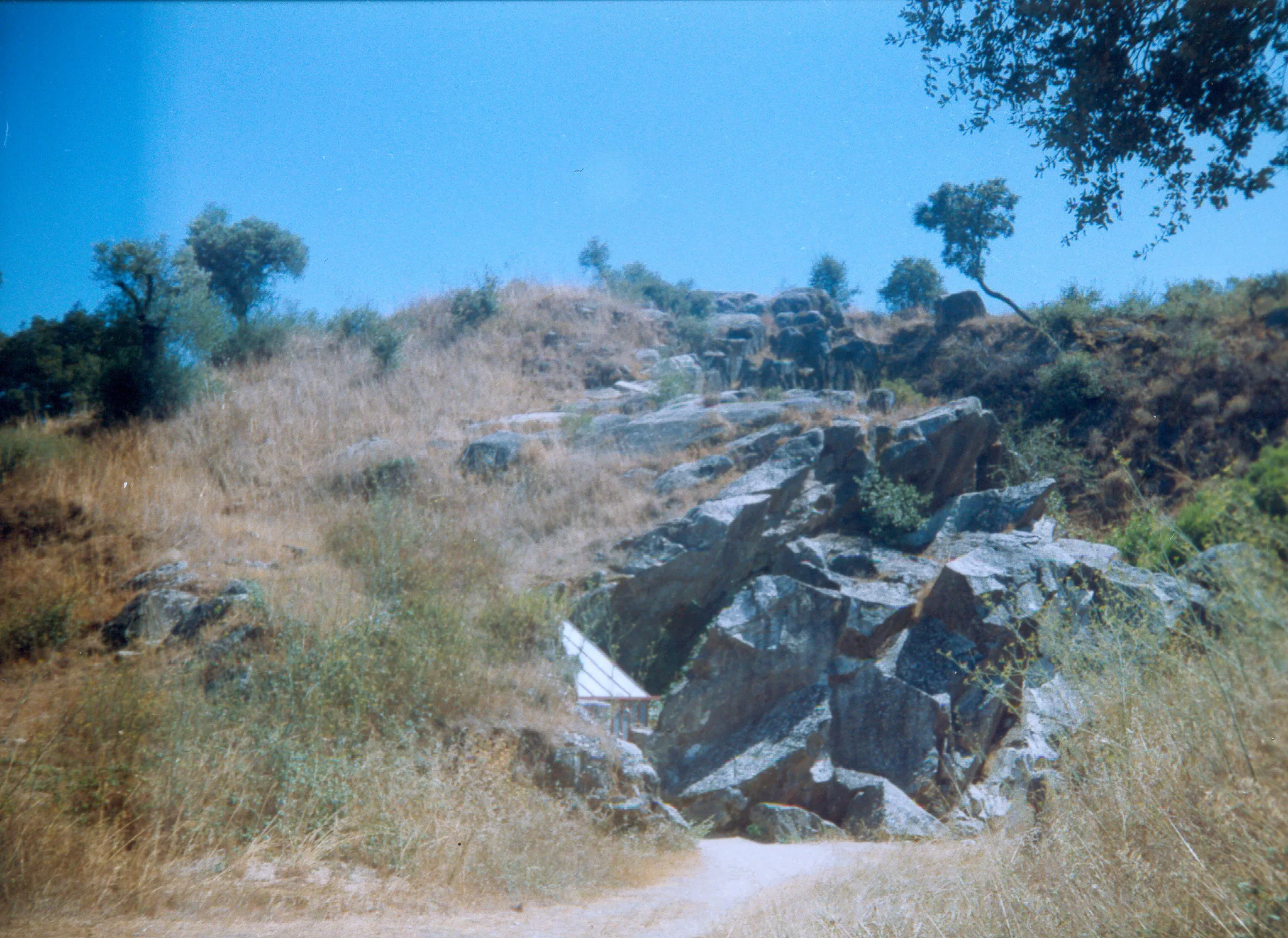 Gallery Image 37