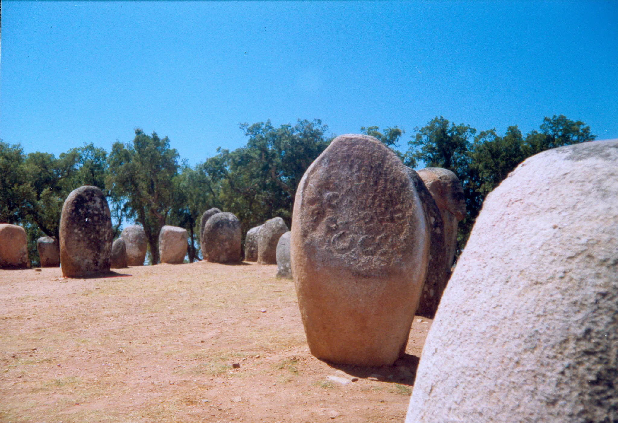 Gallery Image 41