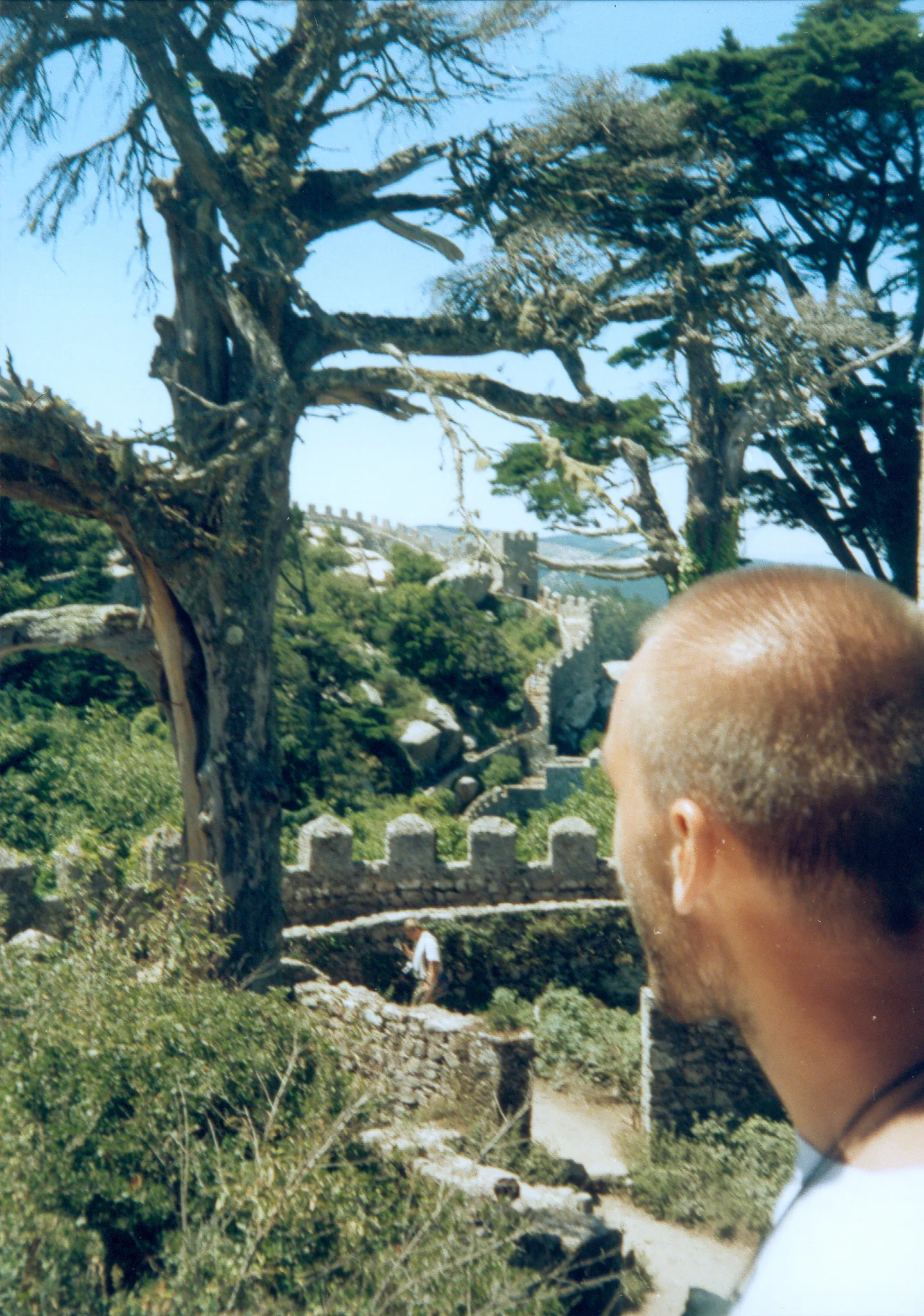 Gallery Image 50