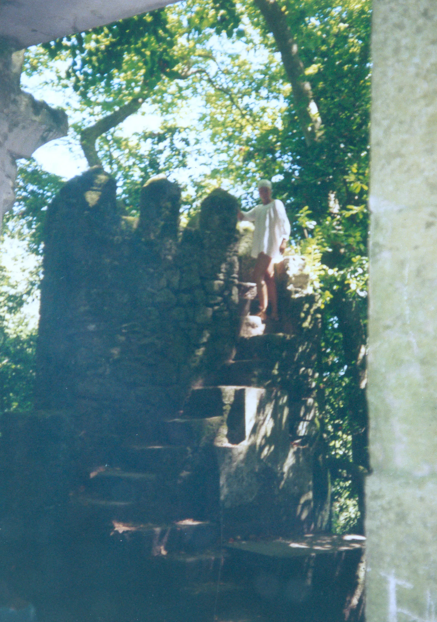 Gallery Image 51