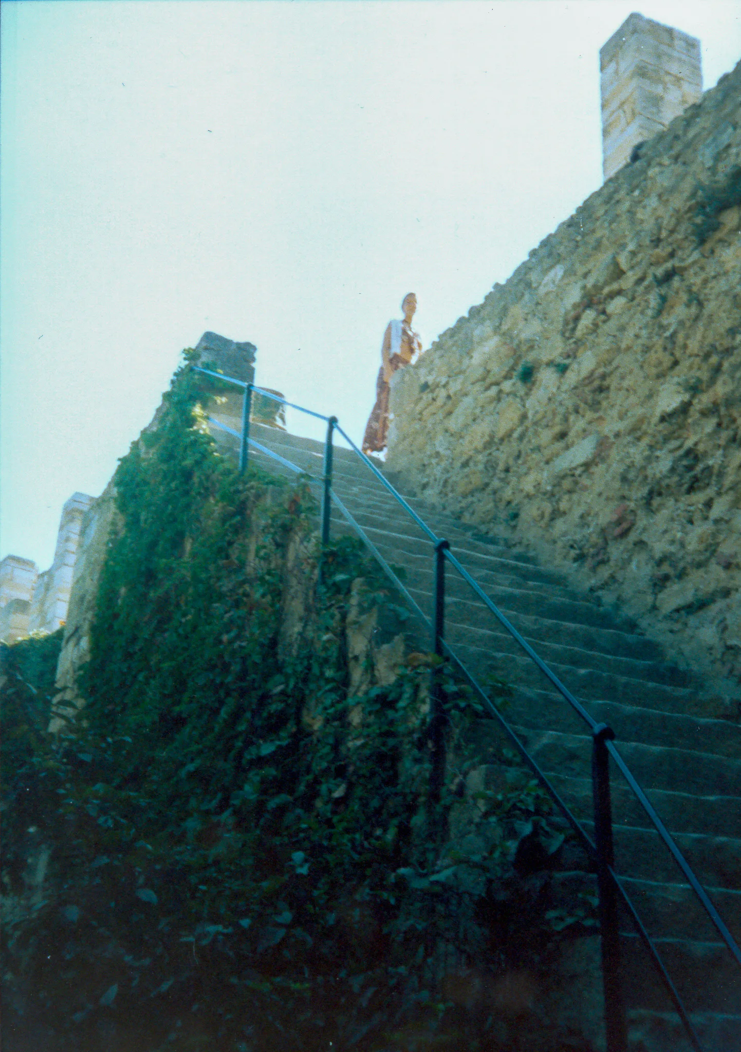 Gallery Image 55