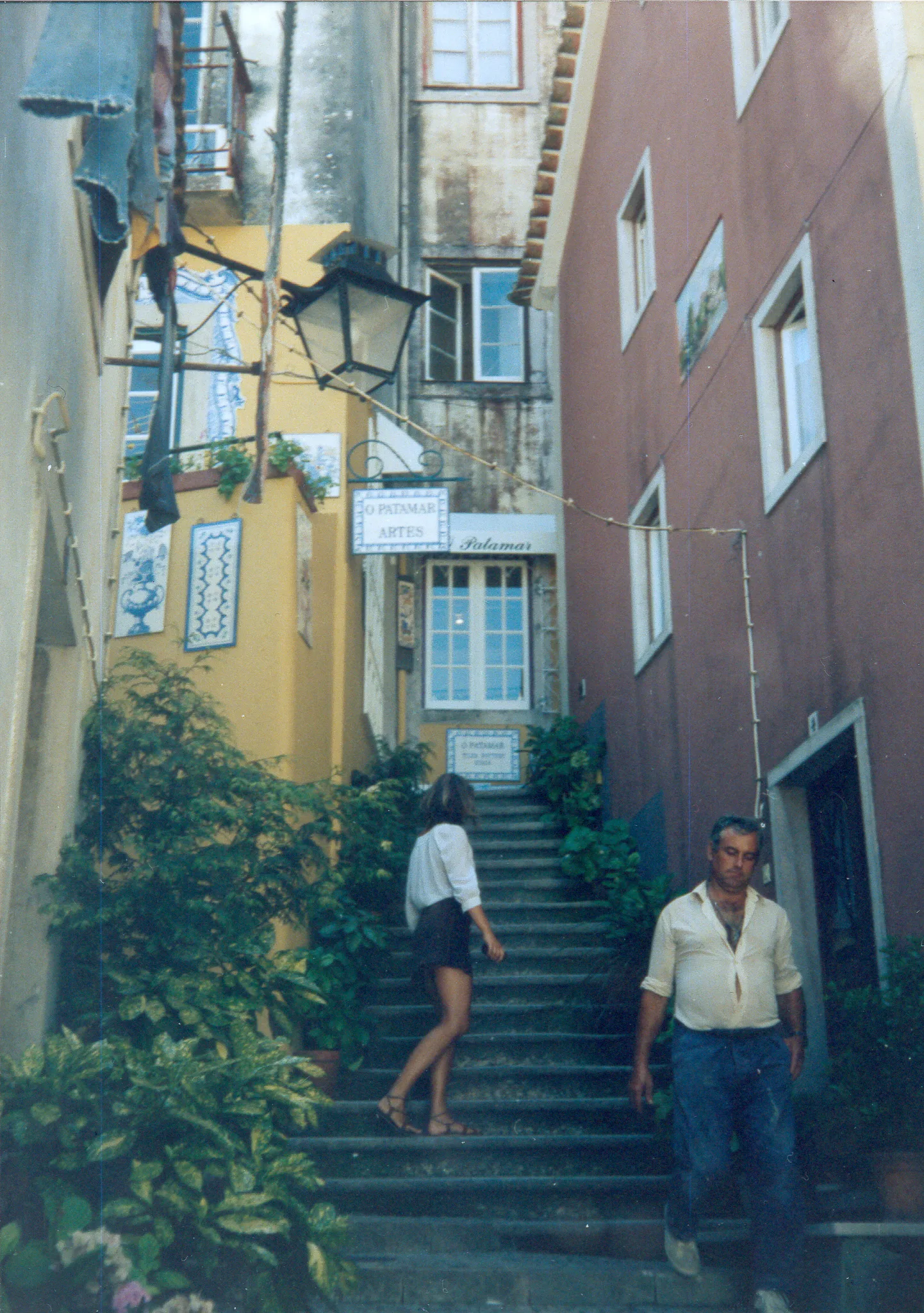 Gallery Image 61