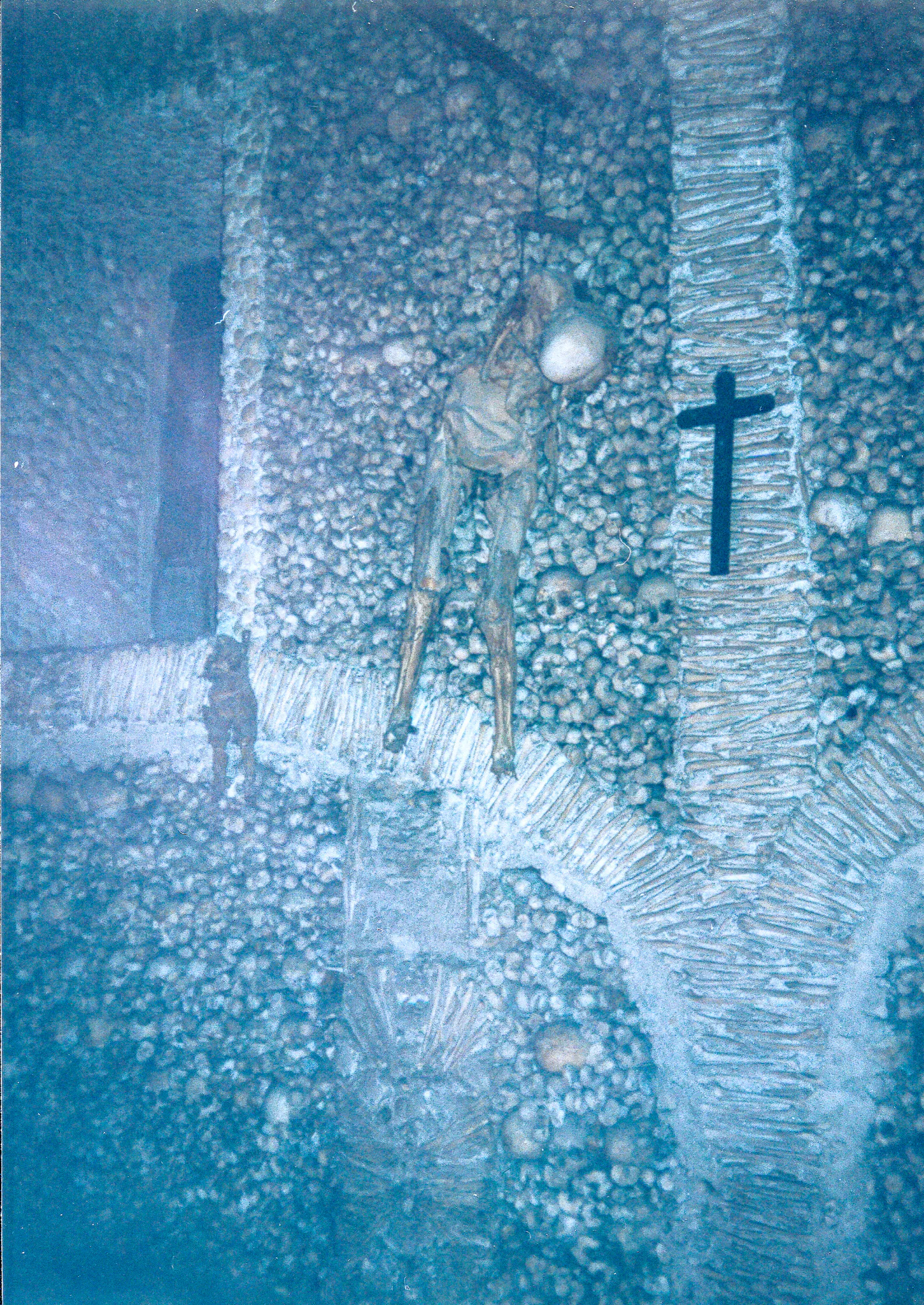 Gallery Image 65