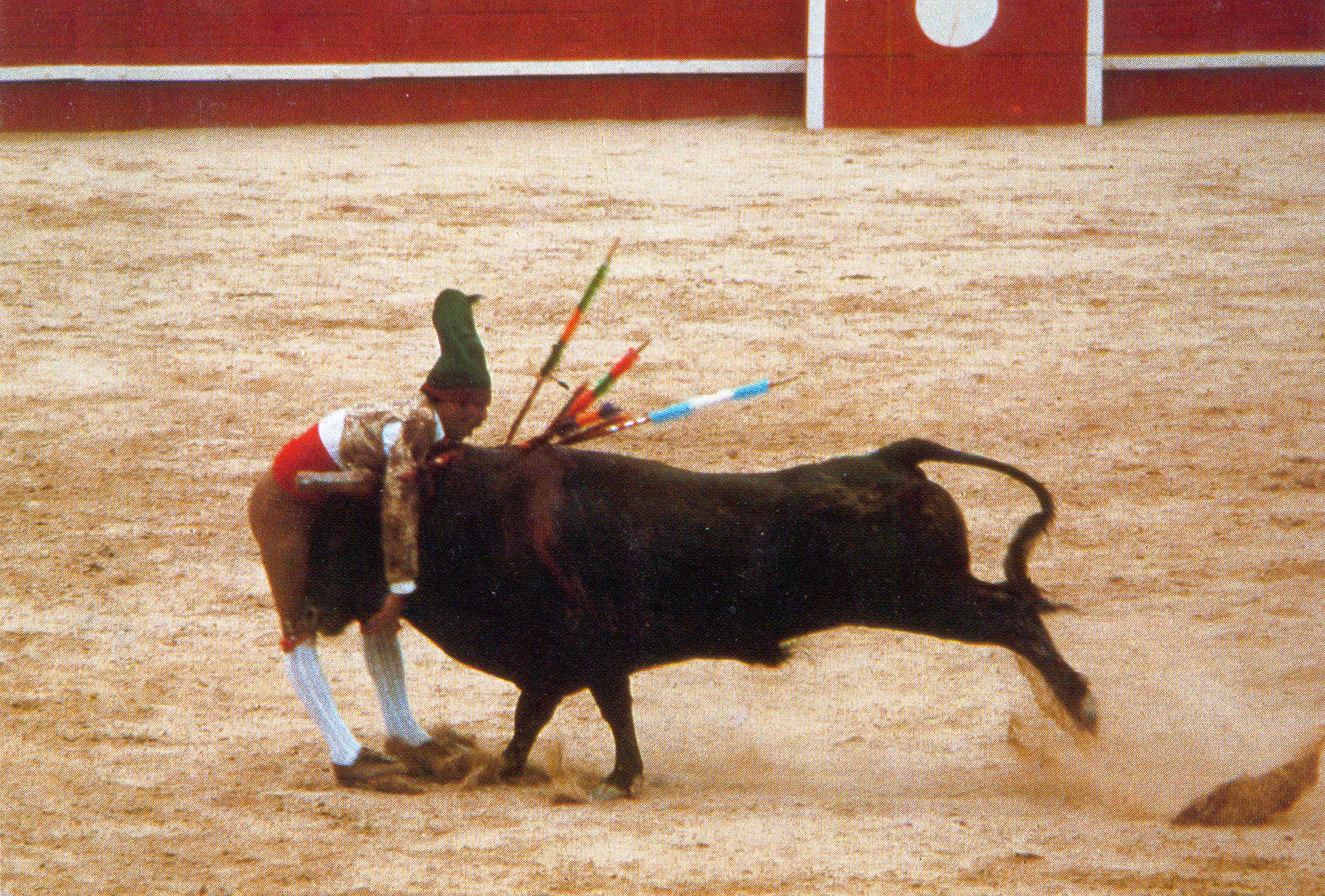 Gallery Image 100