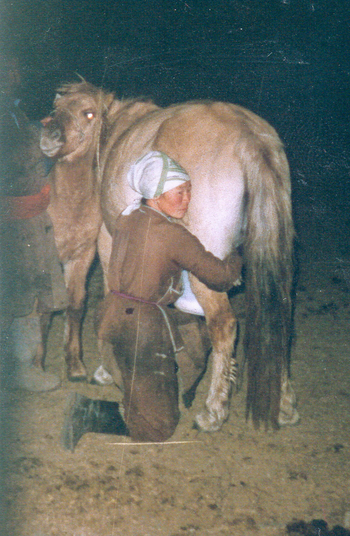 Gallery Image 6