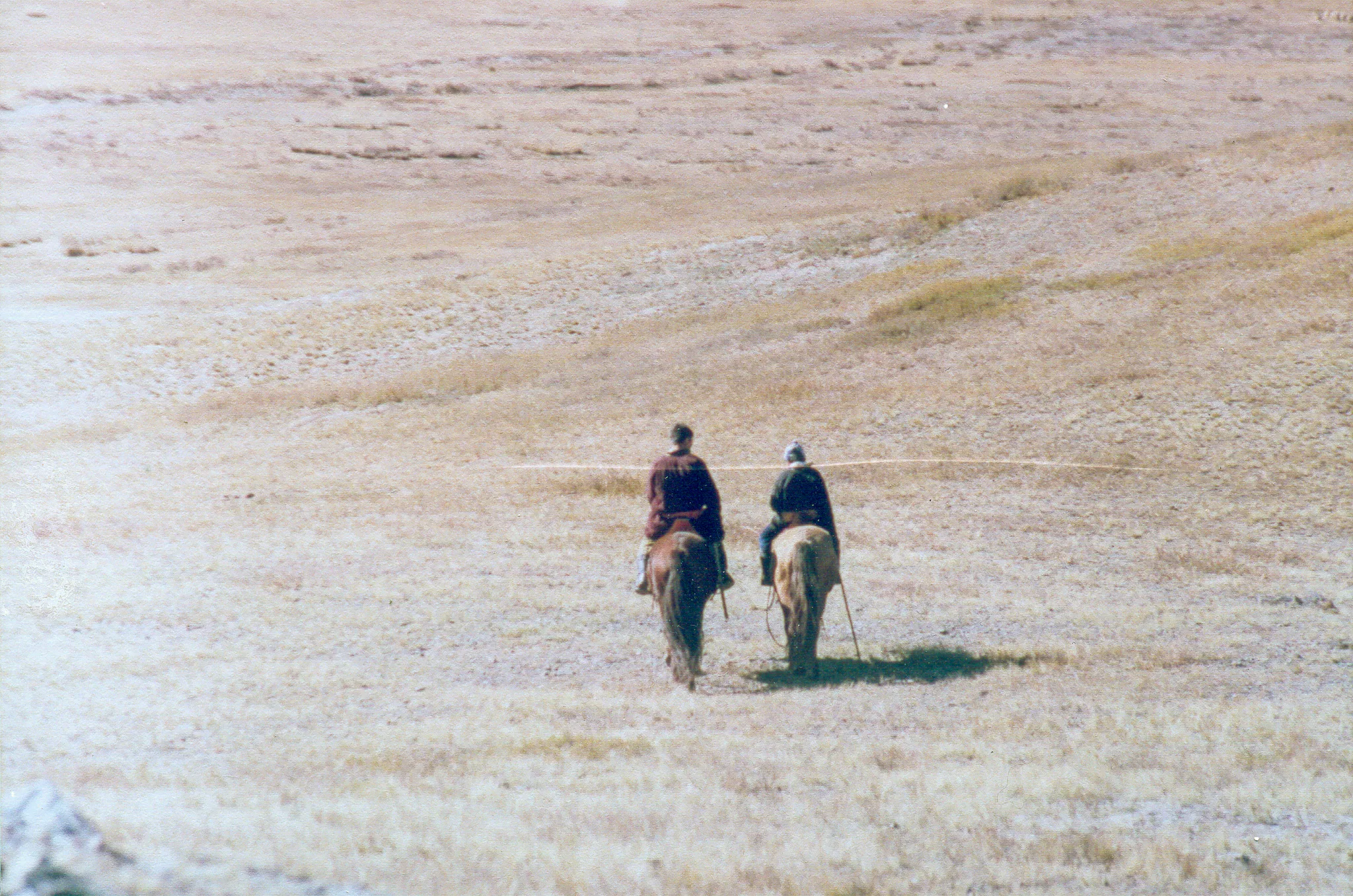 Gallery Image 12