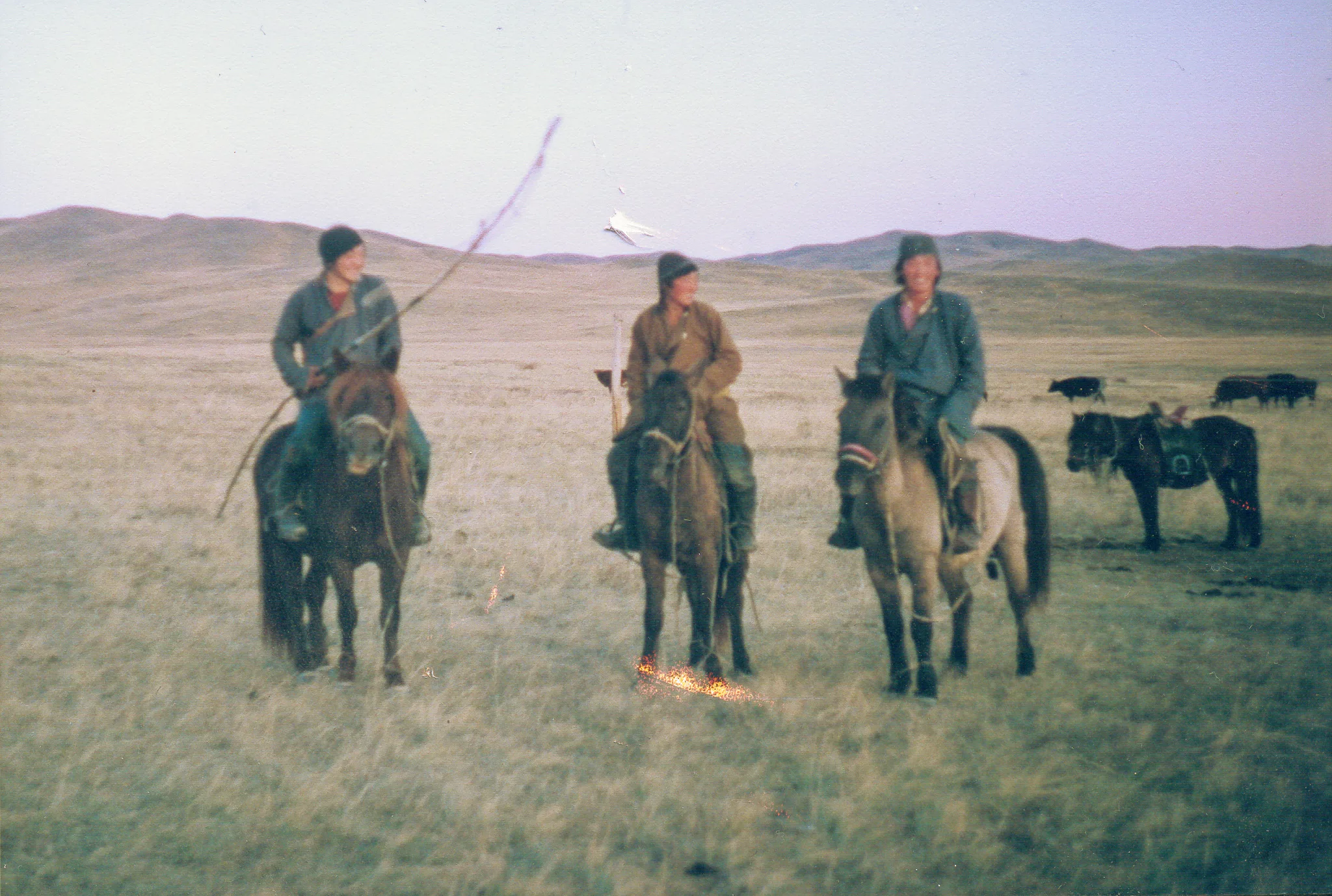Gallery Image 25