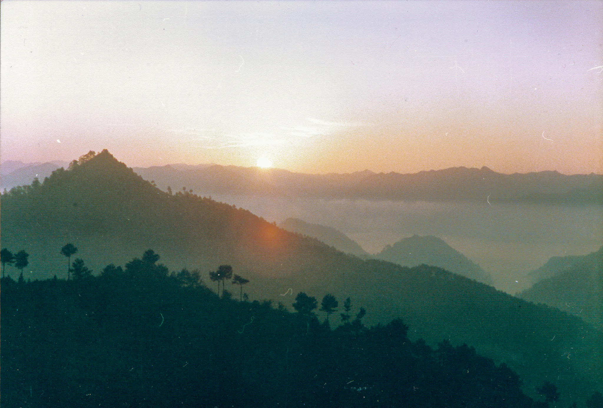 Gallery Image 56