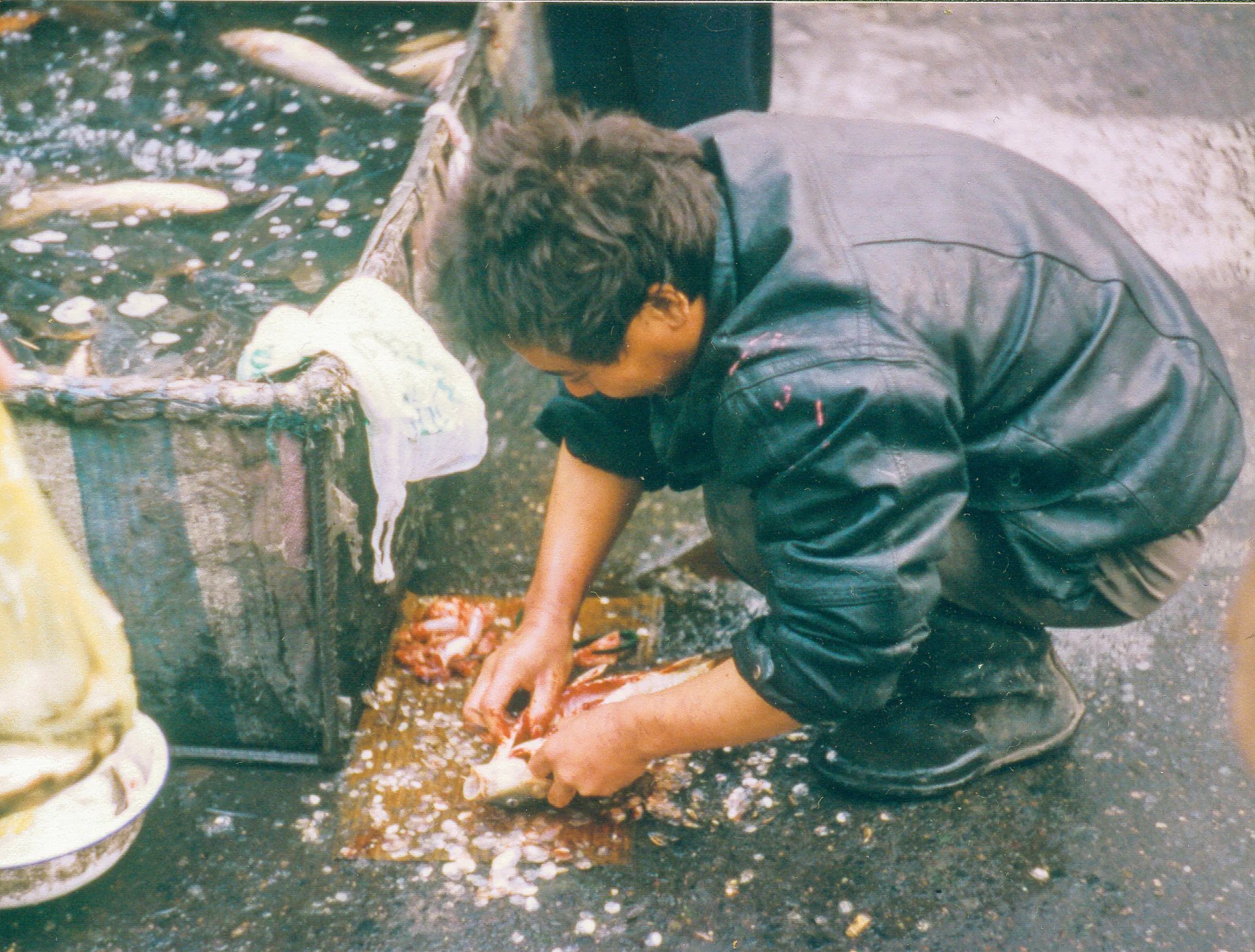 Gallery Image 101
