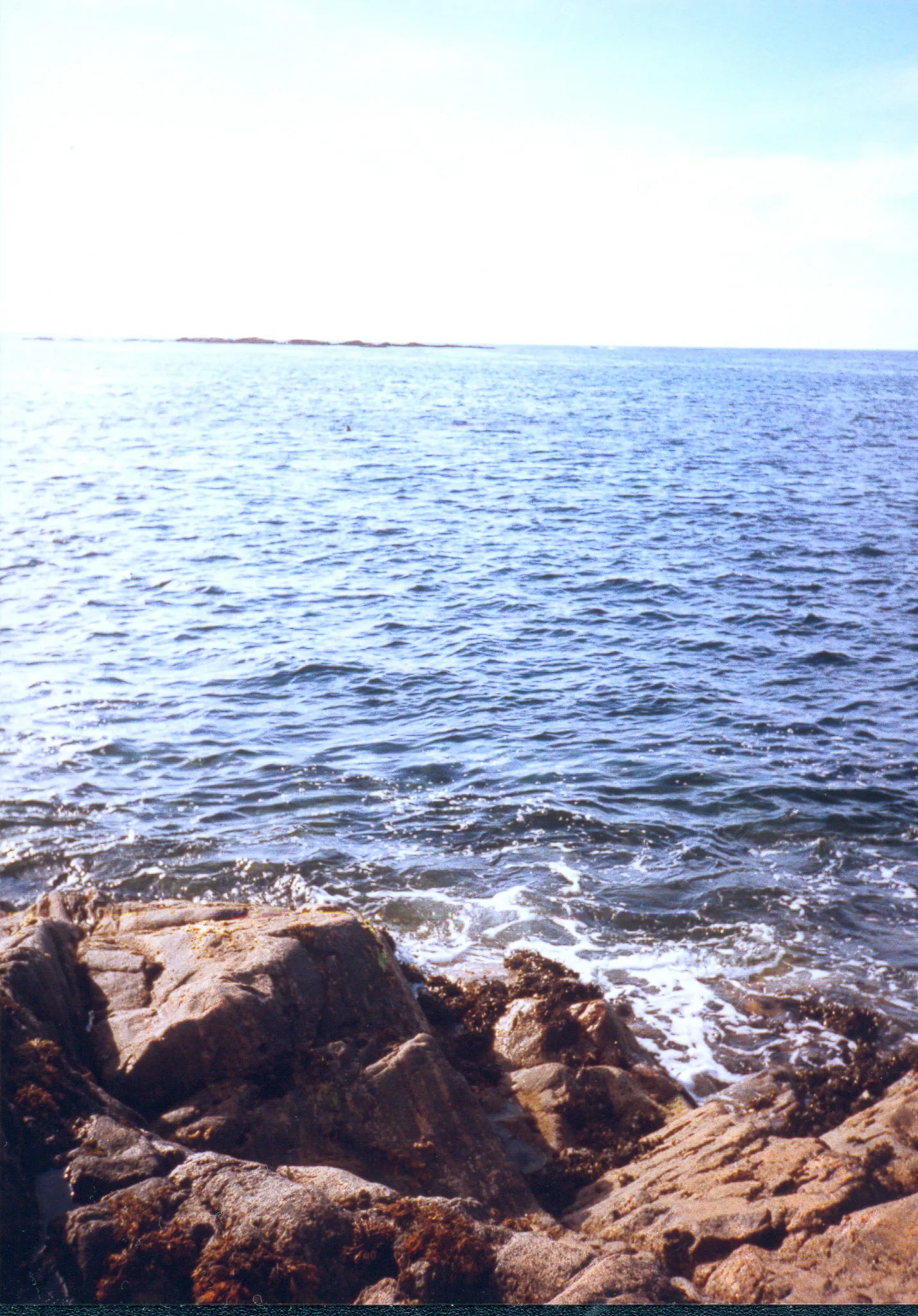 Gallery Image 18