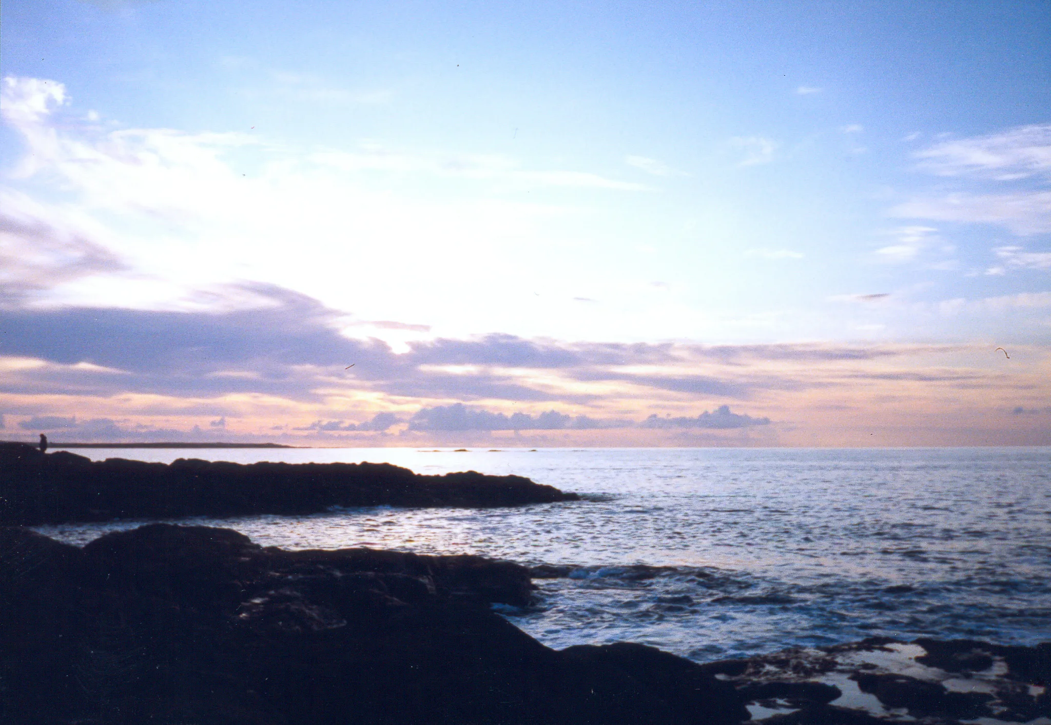 Gallery Image 19