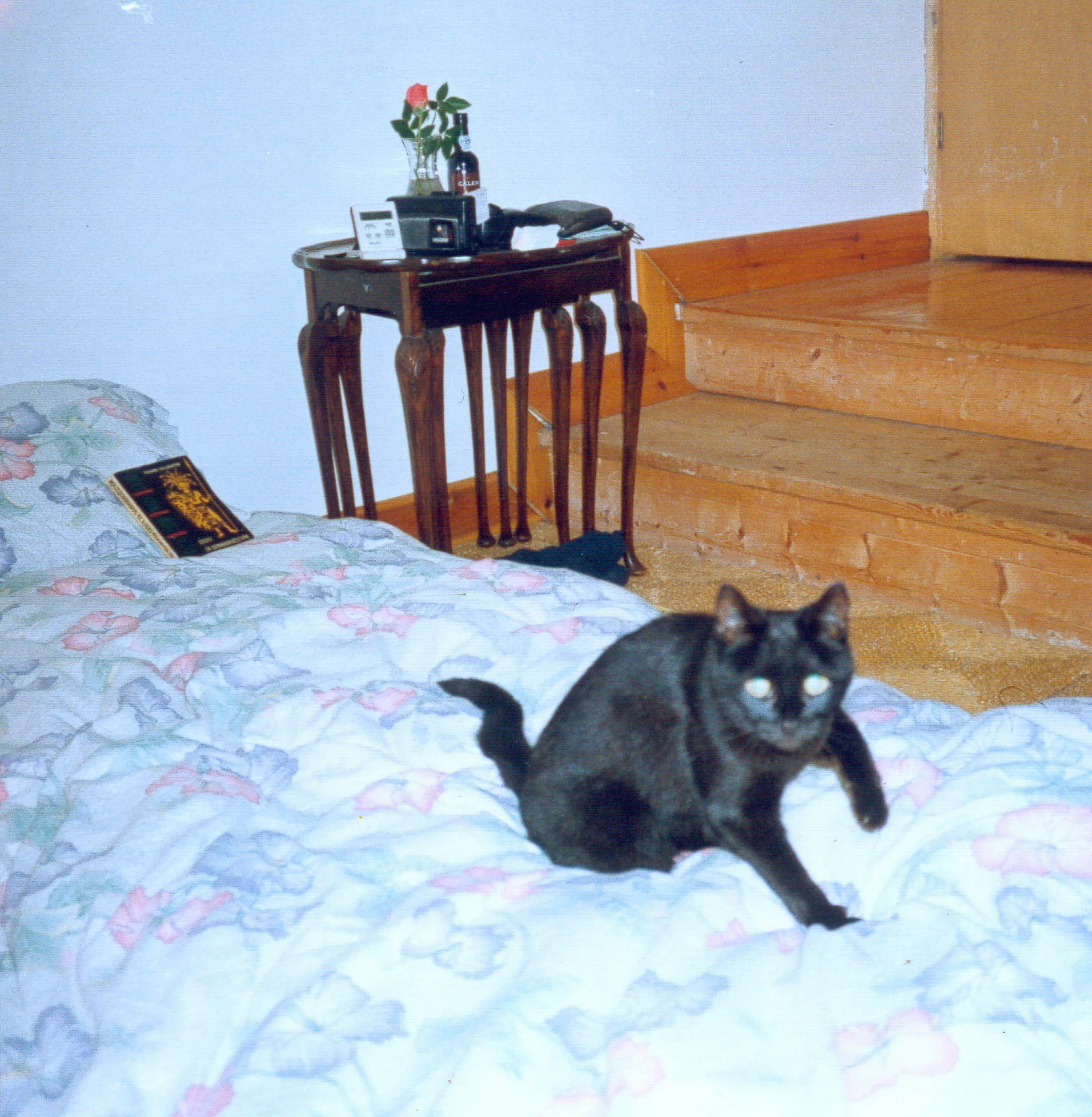 Gallery Image 25