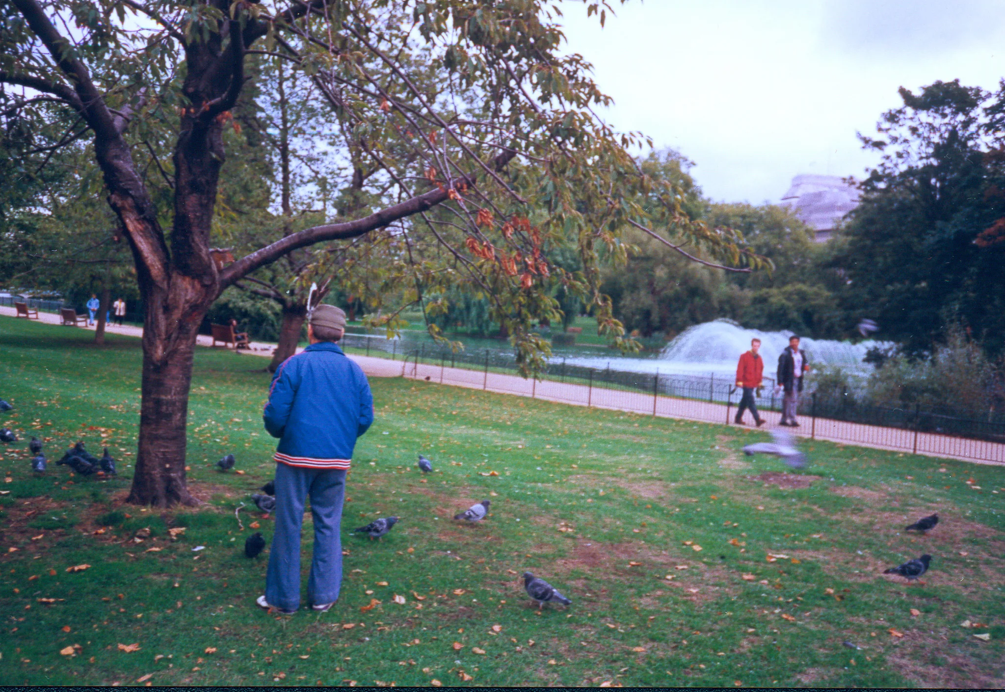 Gallery Image 49