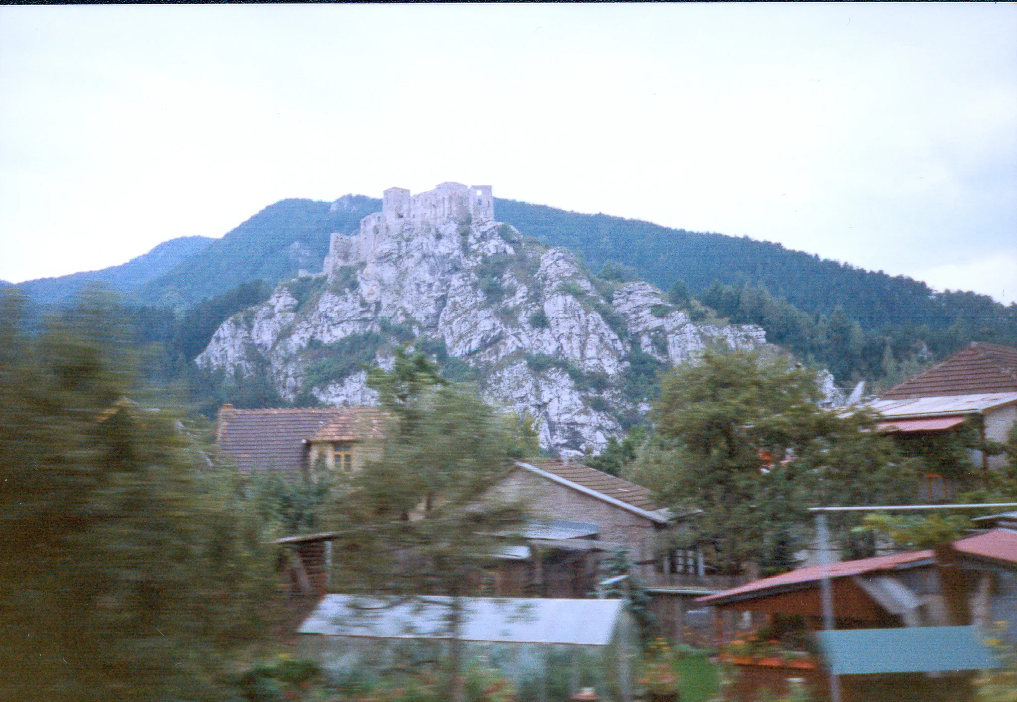 Gallery Image 54