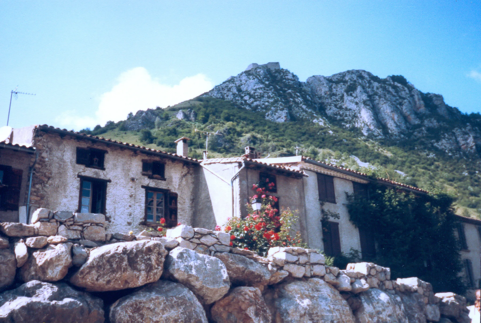 Gallery Image 12