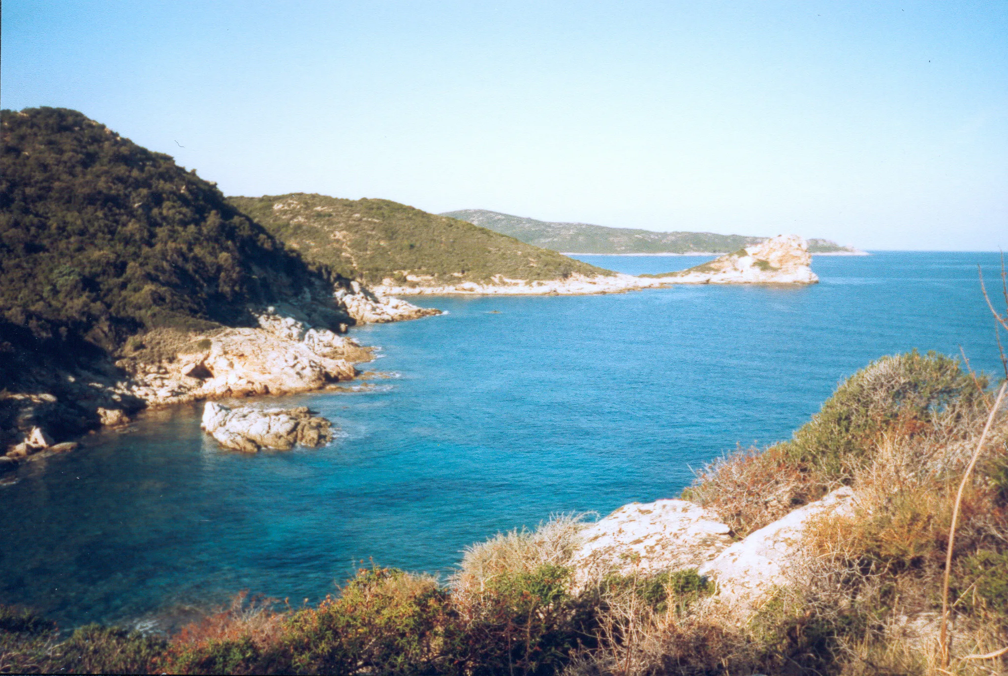 Gallery Image 17