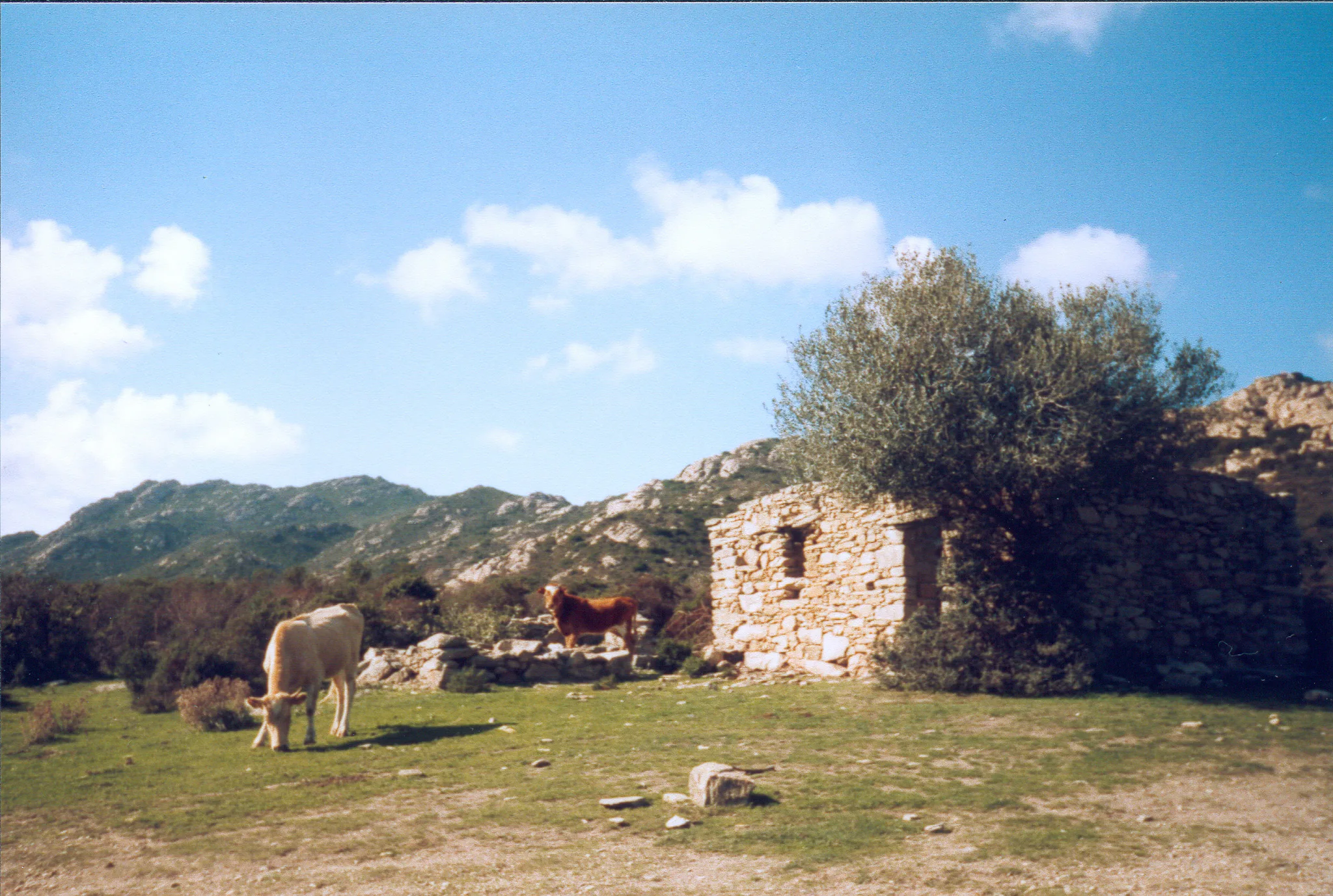 Gallery Image 21