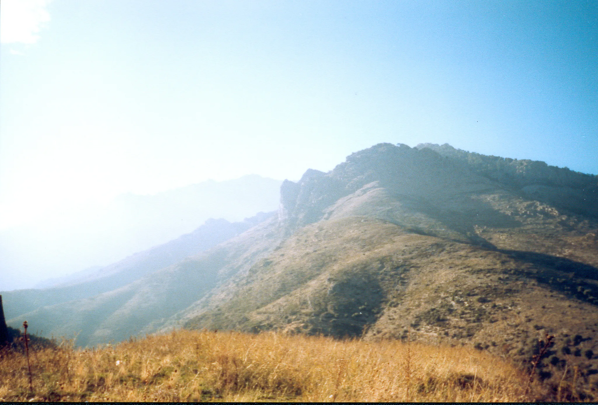 Gallery Image 23