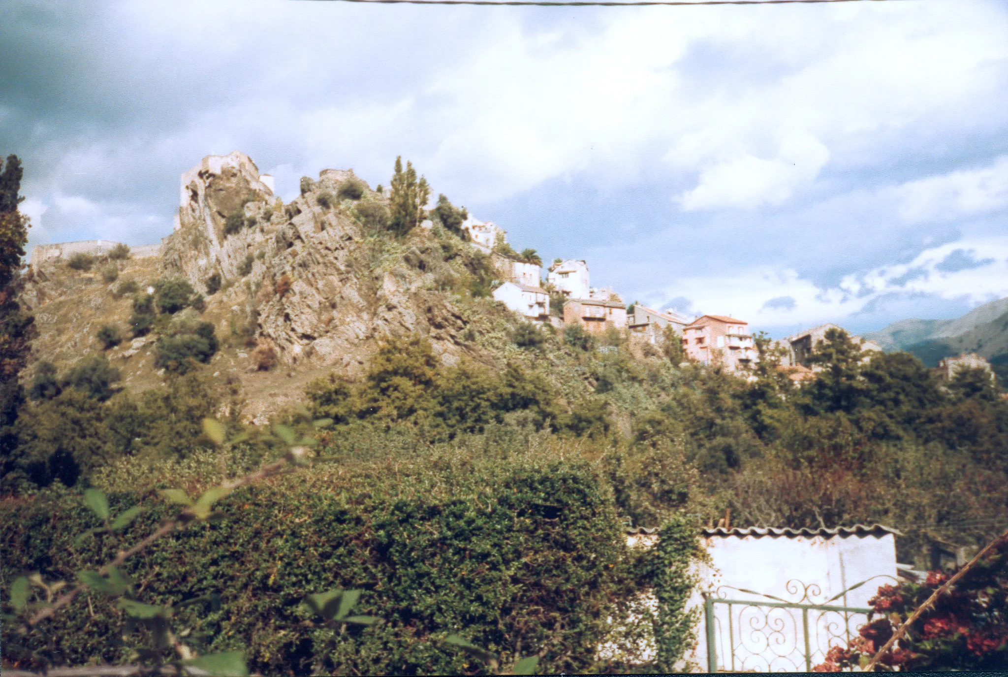 Gallery Image 24