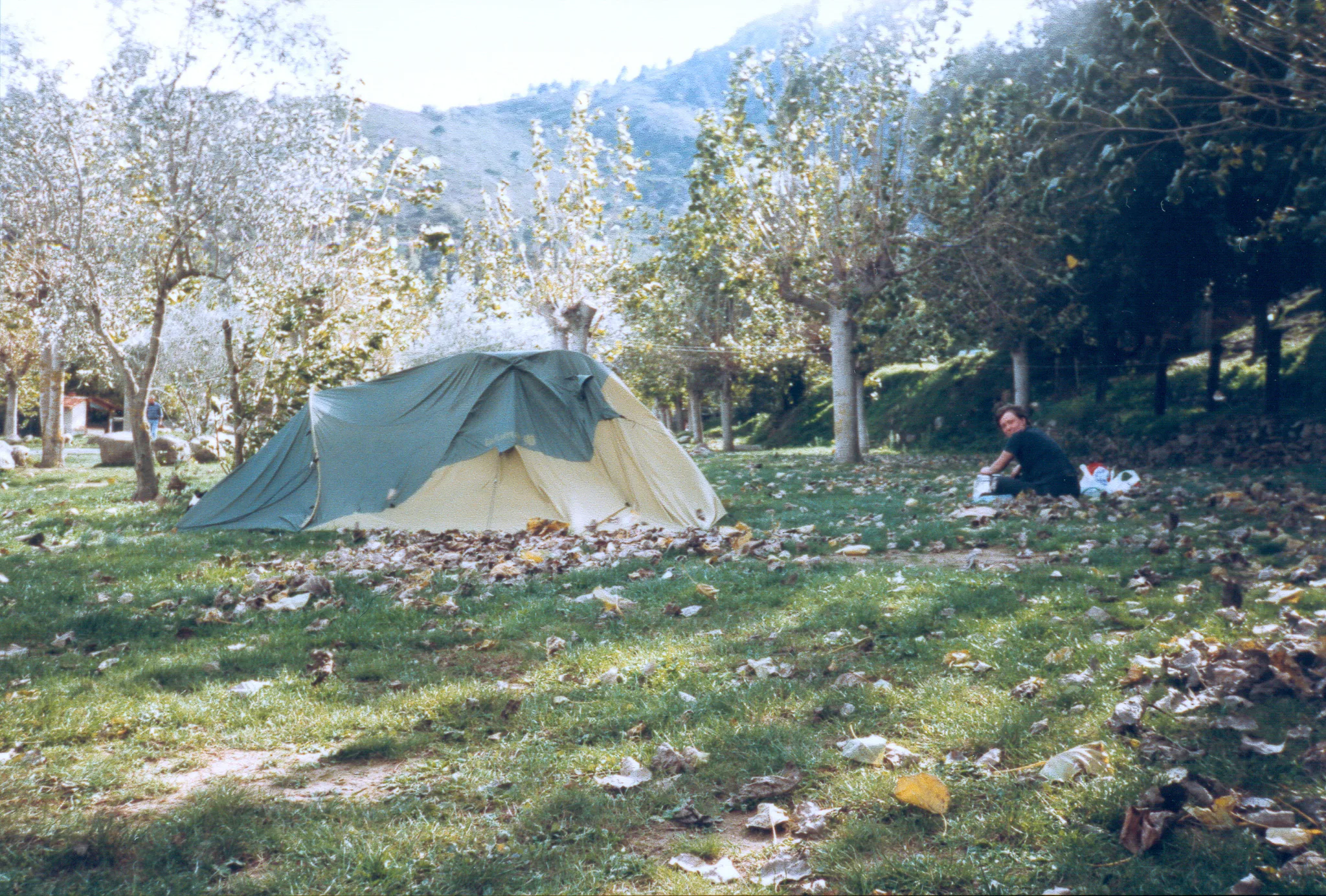 Gallery Image 25