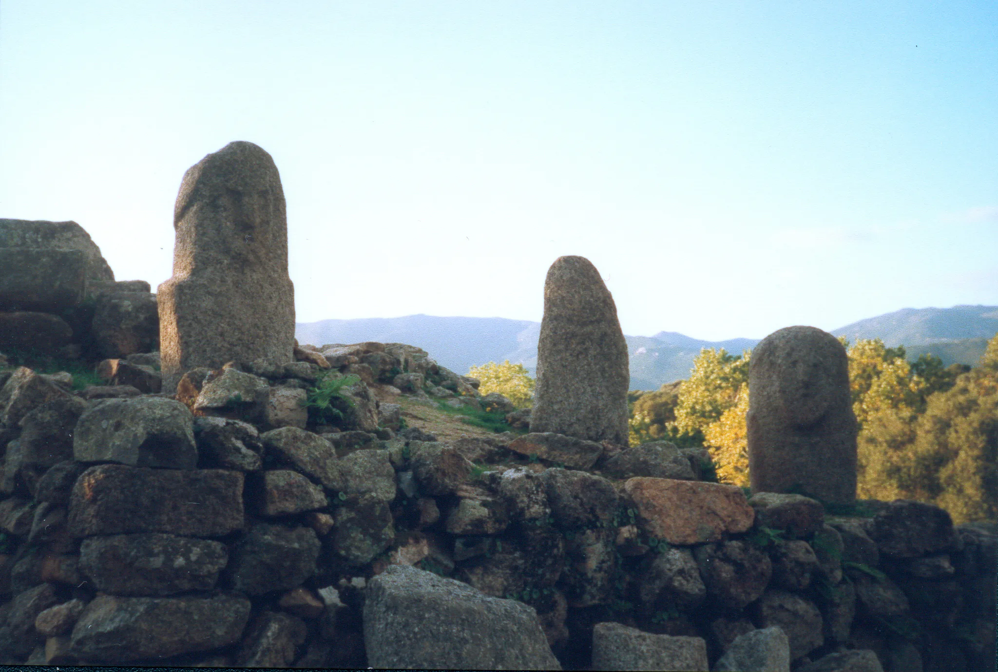 Gallery Image 30