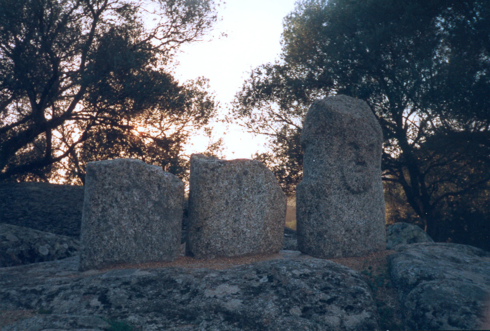 Gallery Image 31