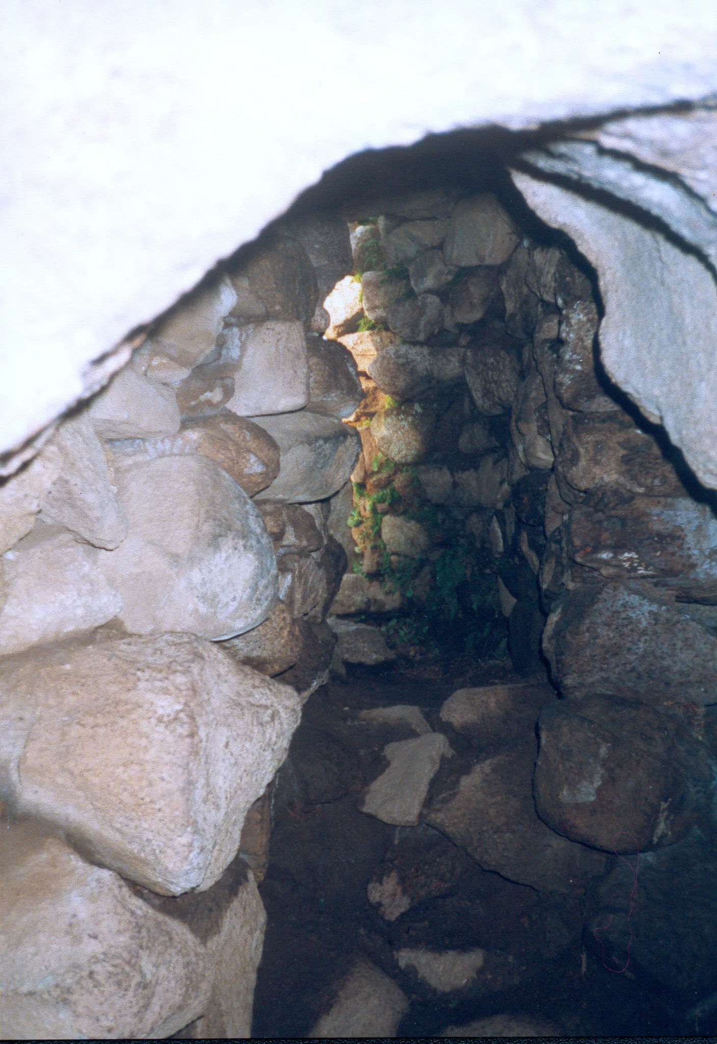 Gallery Image 32