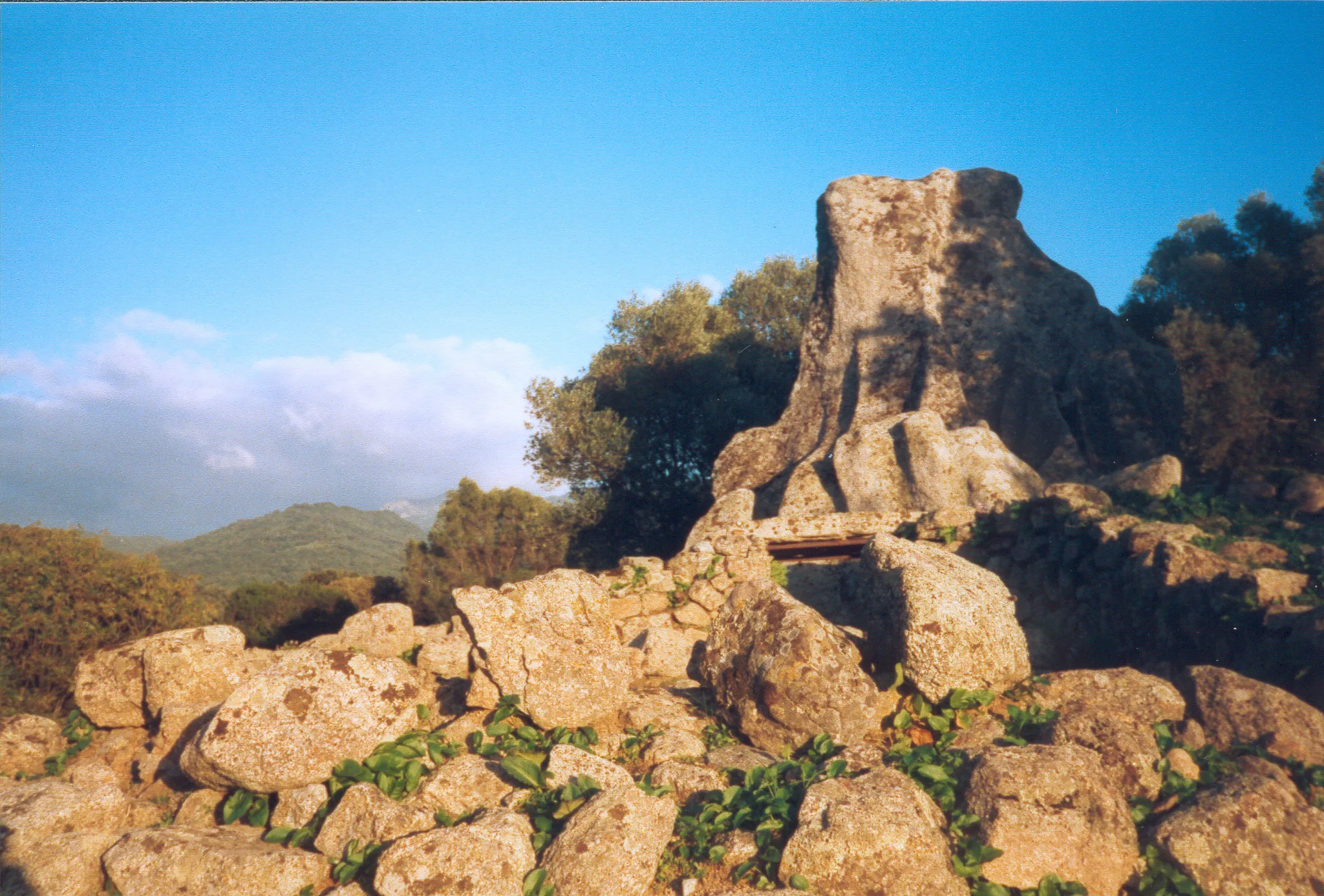 Gallery Image 33
