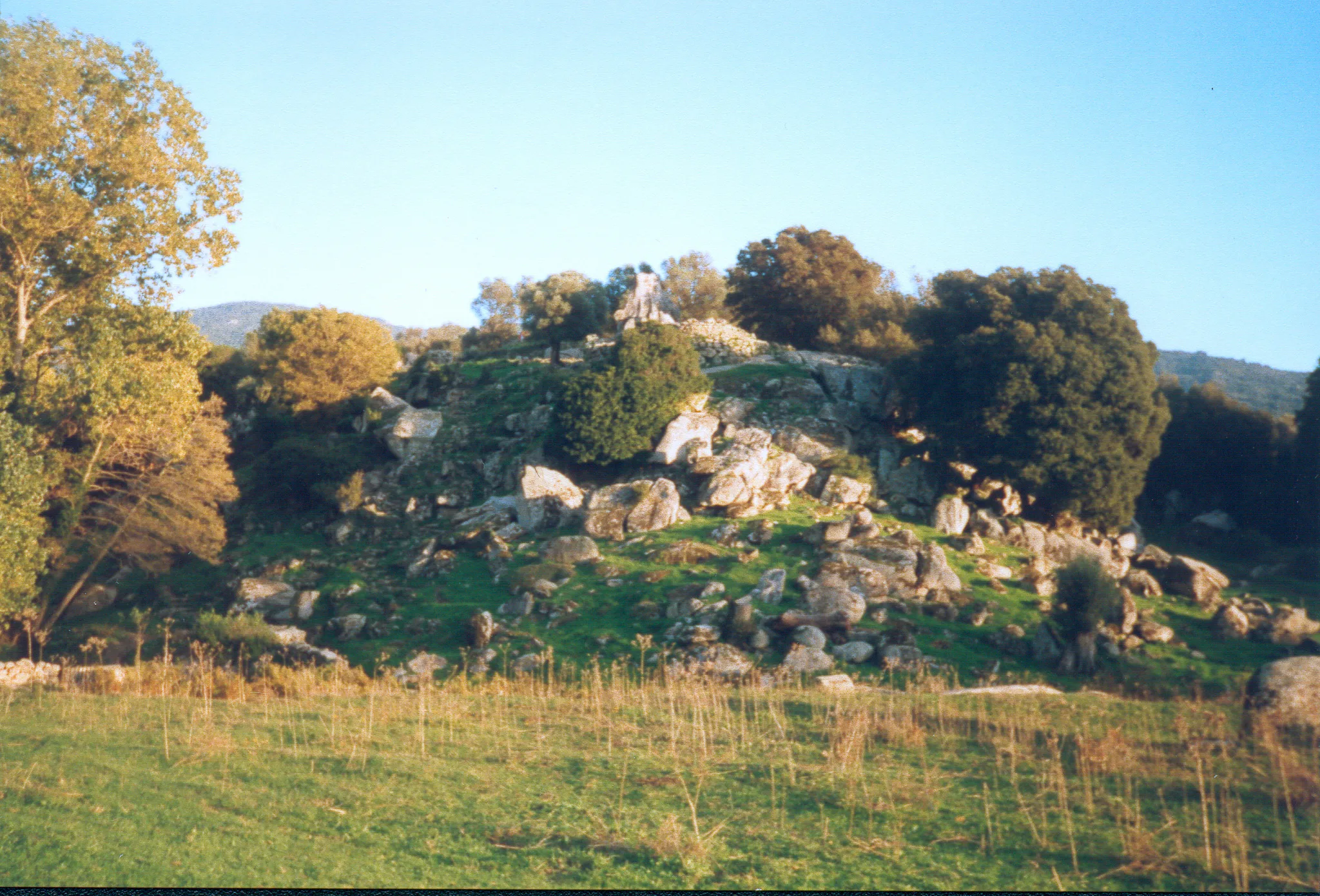 Gallery Image 34