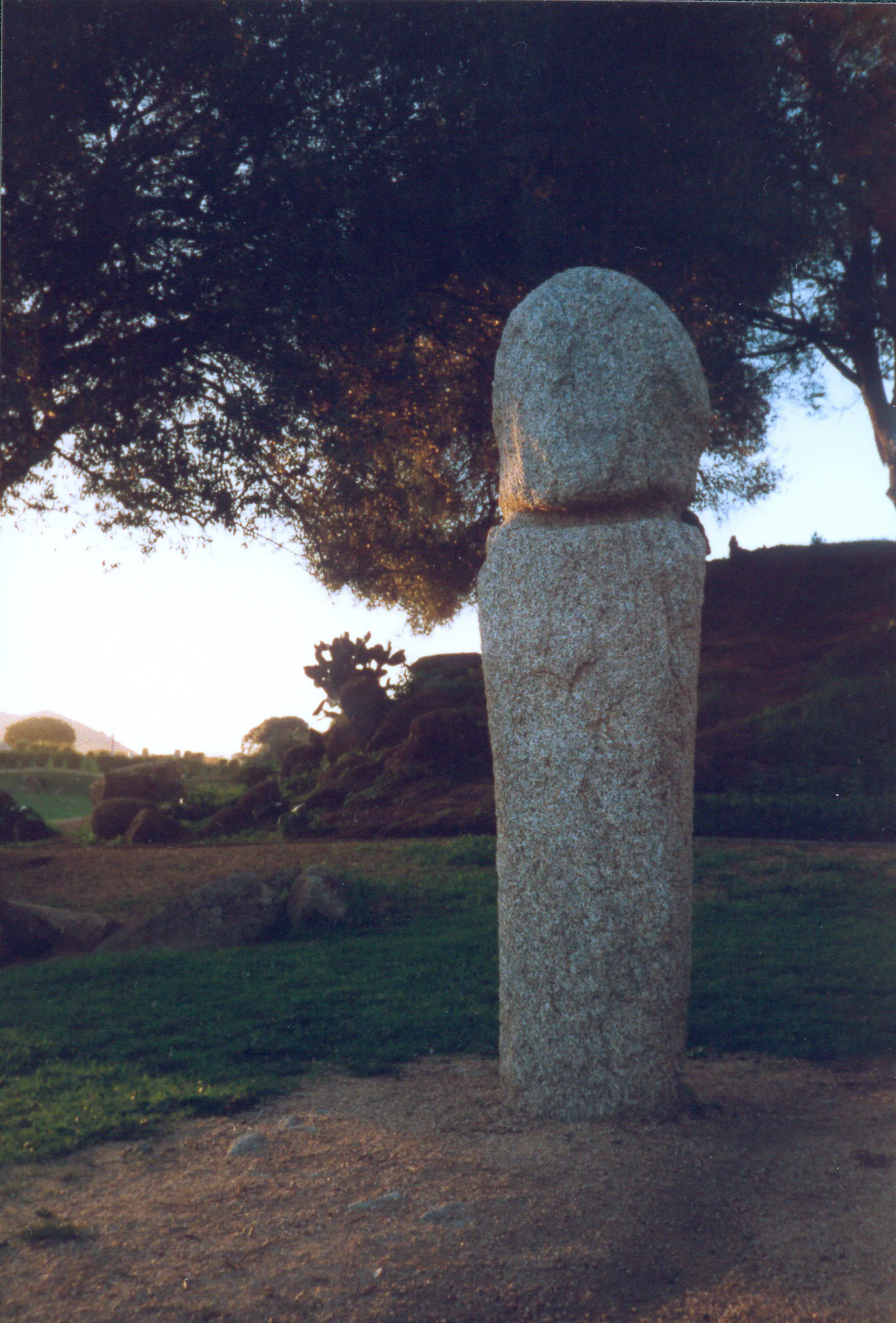 Gallery Image 37