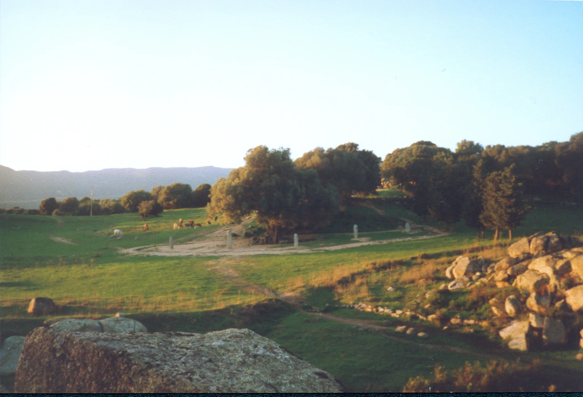 Gallery Image 38