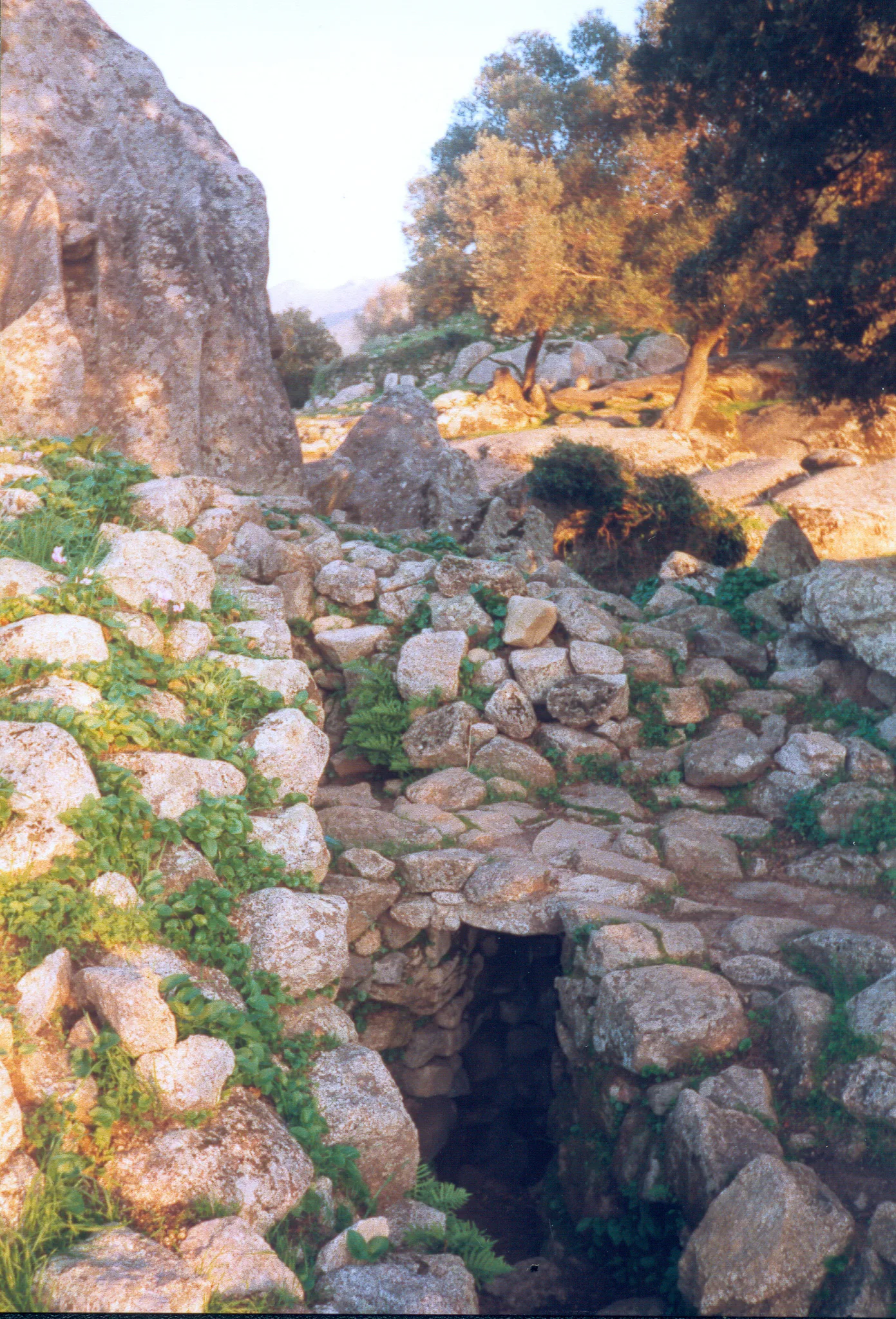 Gallery Image 39