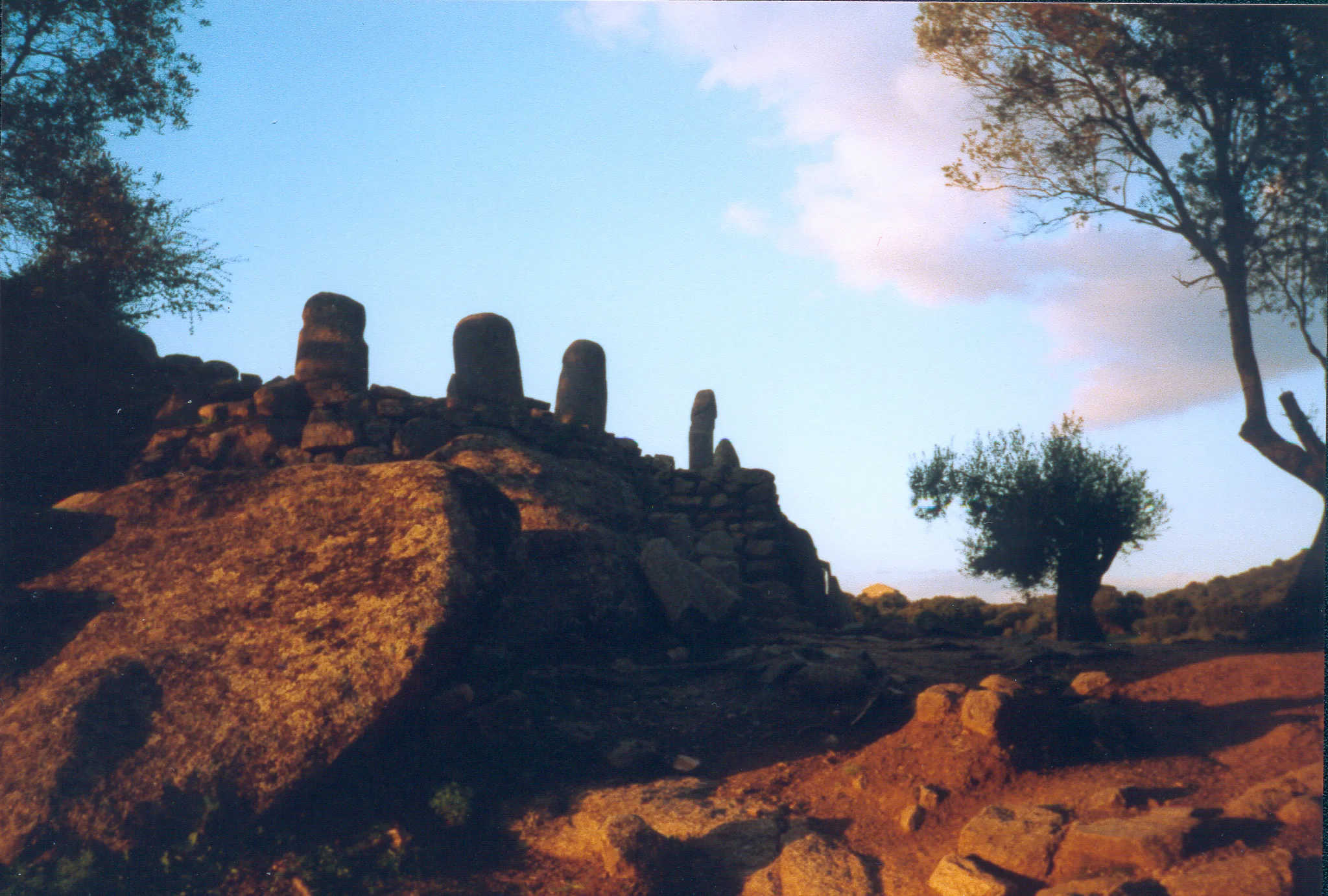 Gallery Image 40