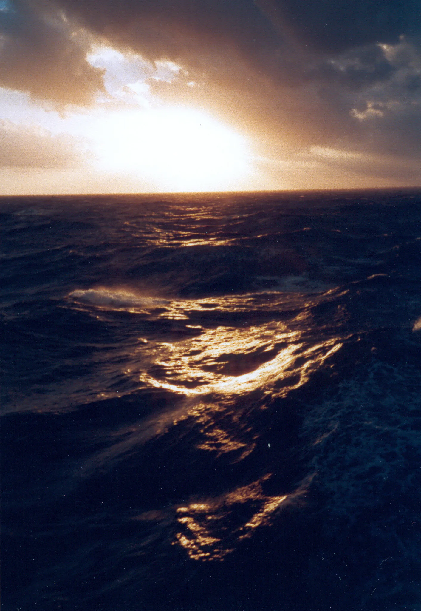 Gallery Image 49
