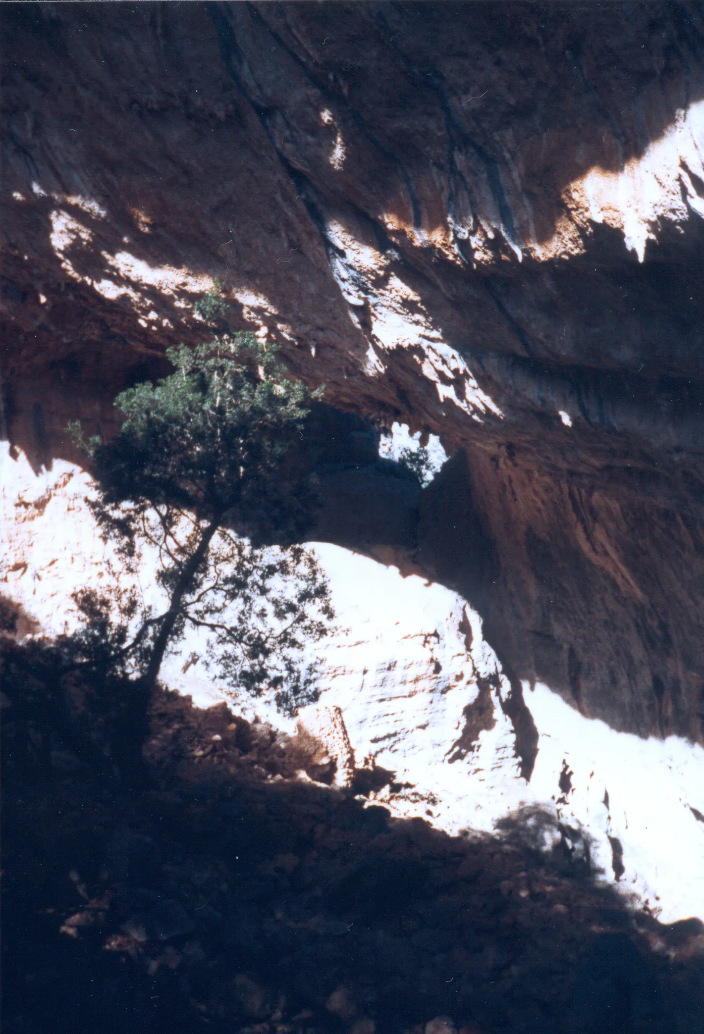 Gallery Image 52