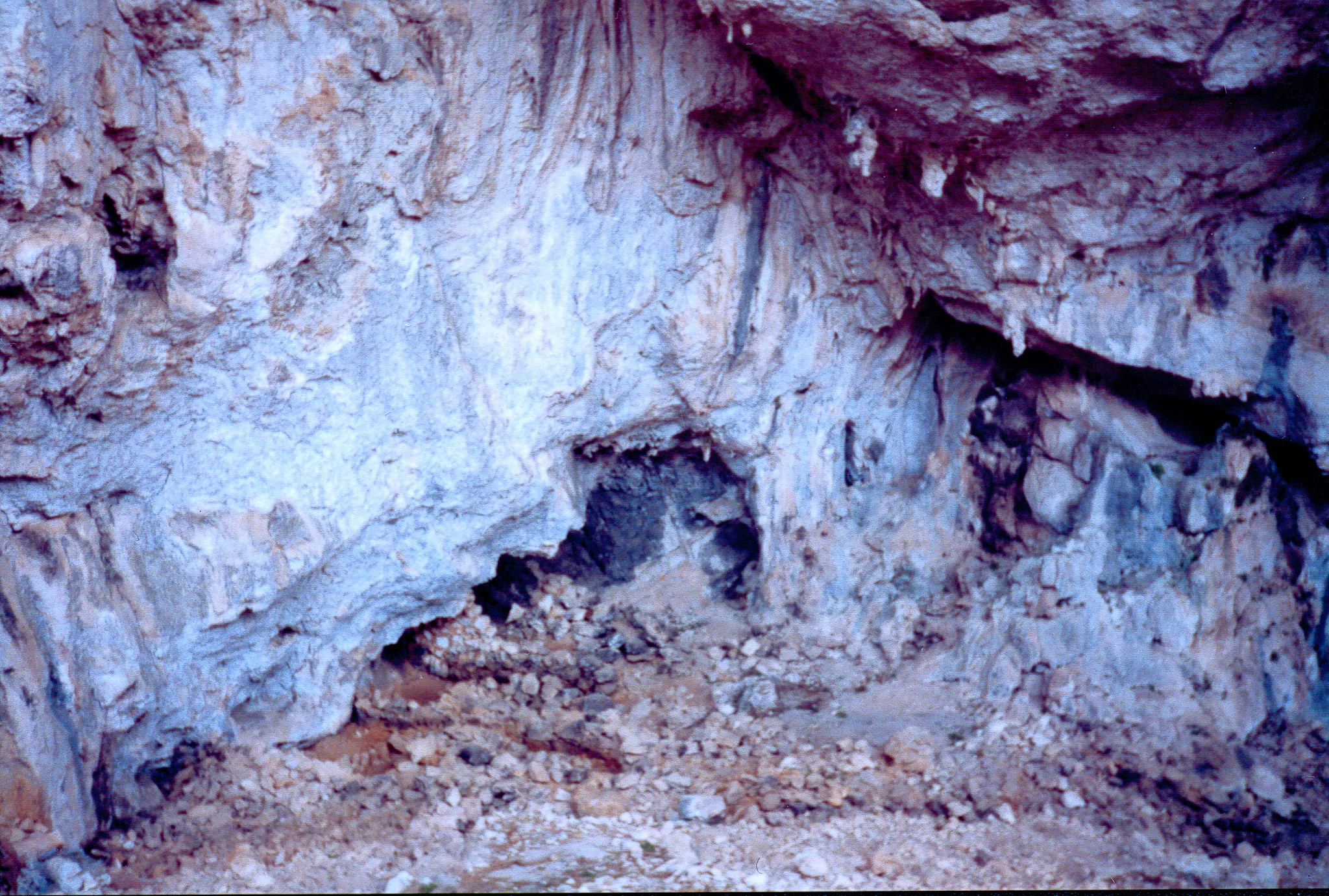Gallery Image 54