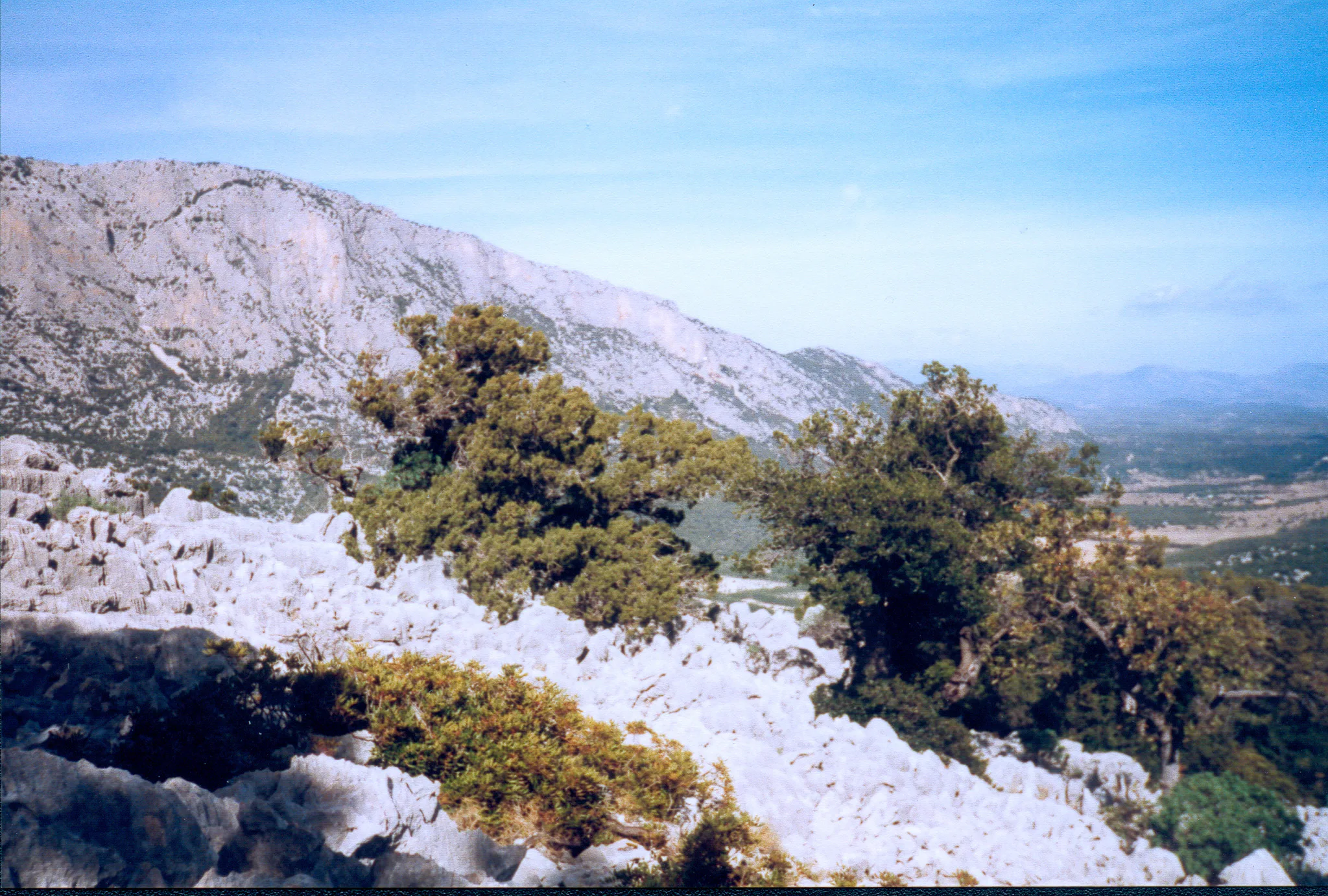 Gallery Image 55