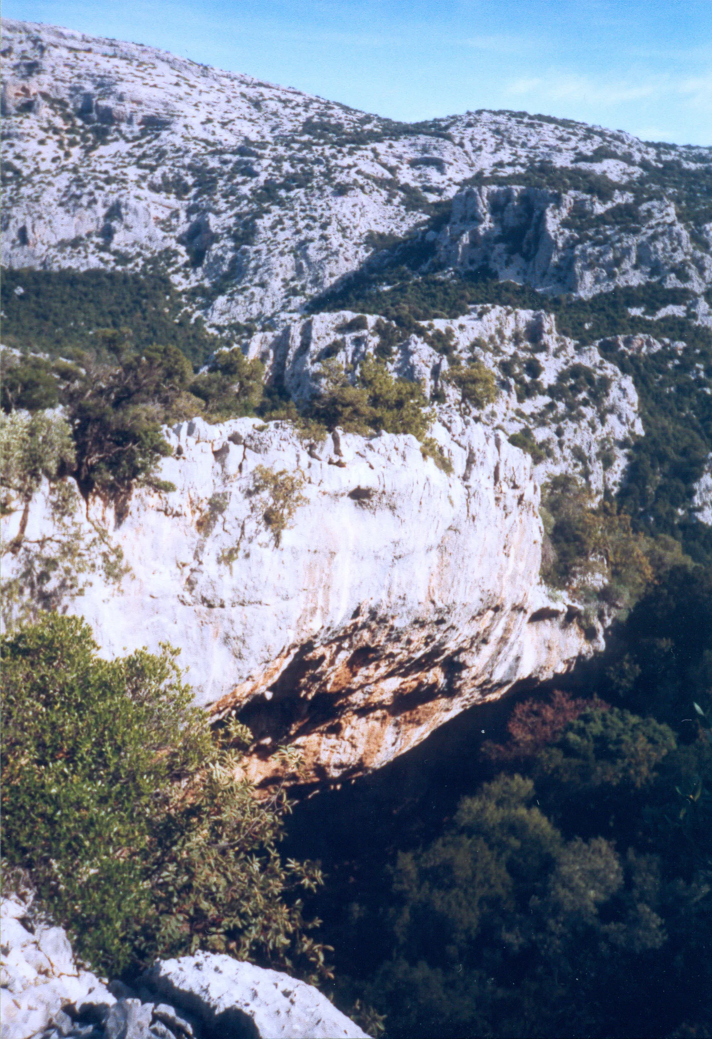 Gallery Image 56