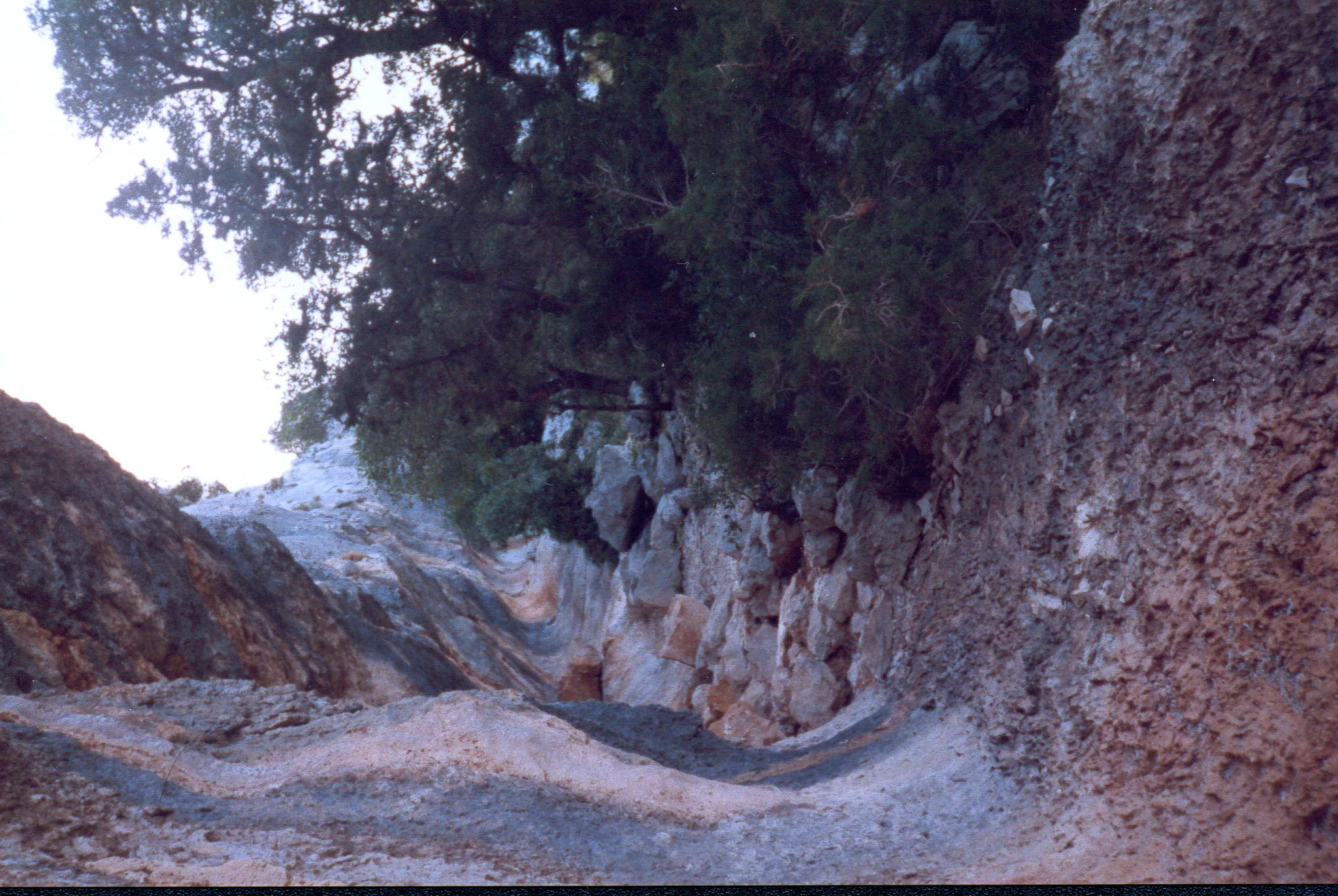 Gallery Image 57